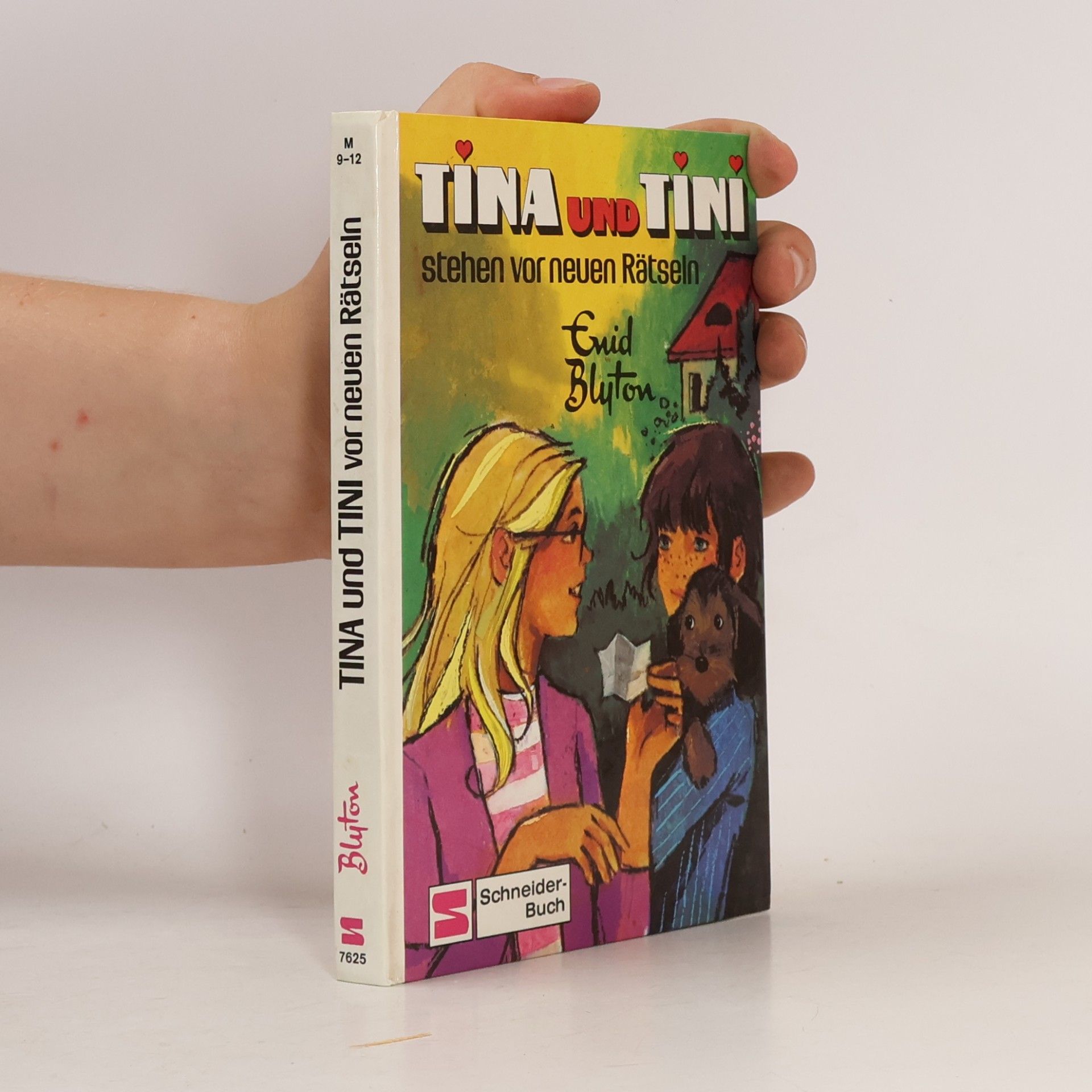 Enid Blyton Tina und Tini stehen vor neuen Rätseln