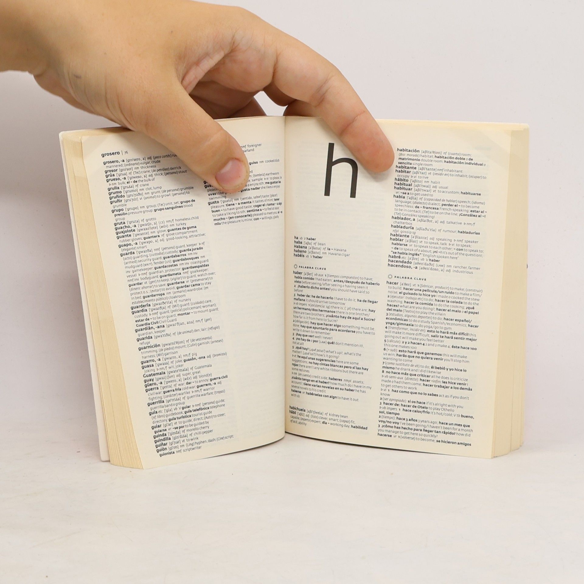 Spanish Dictionary