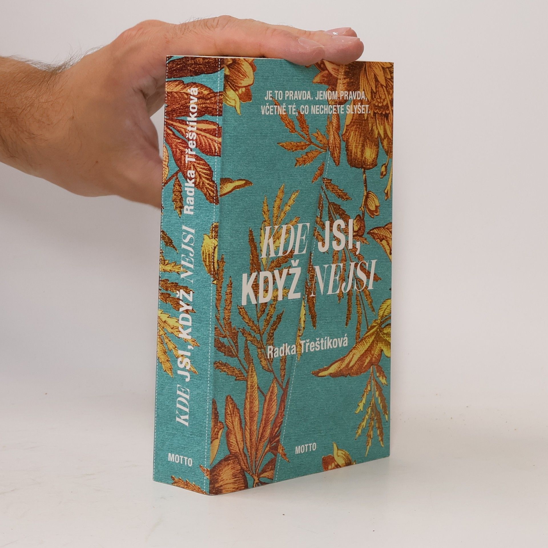 Radka Třeštíková Kde jsi, když nejsi