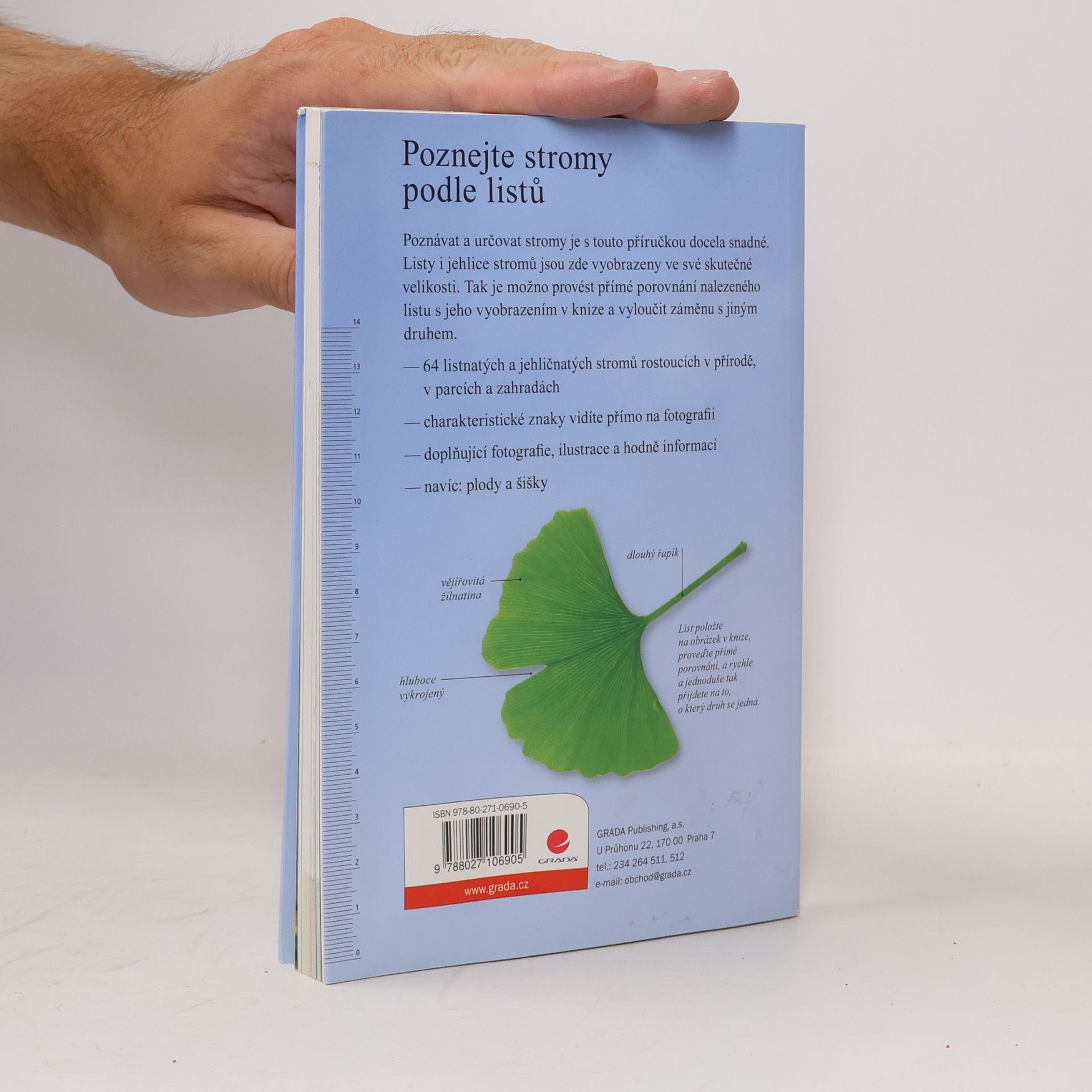 Meike Bosch Poznejte stromy podle listů