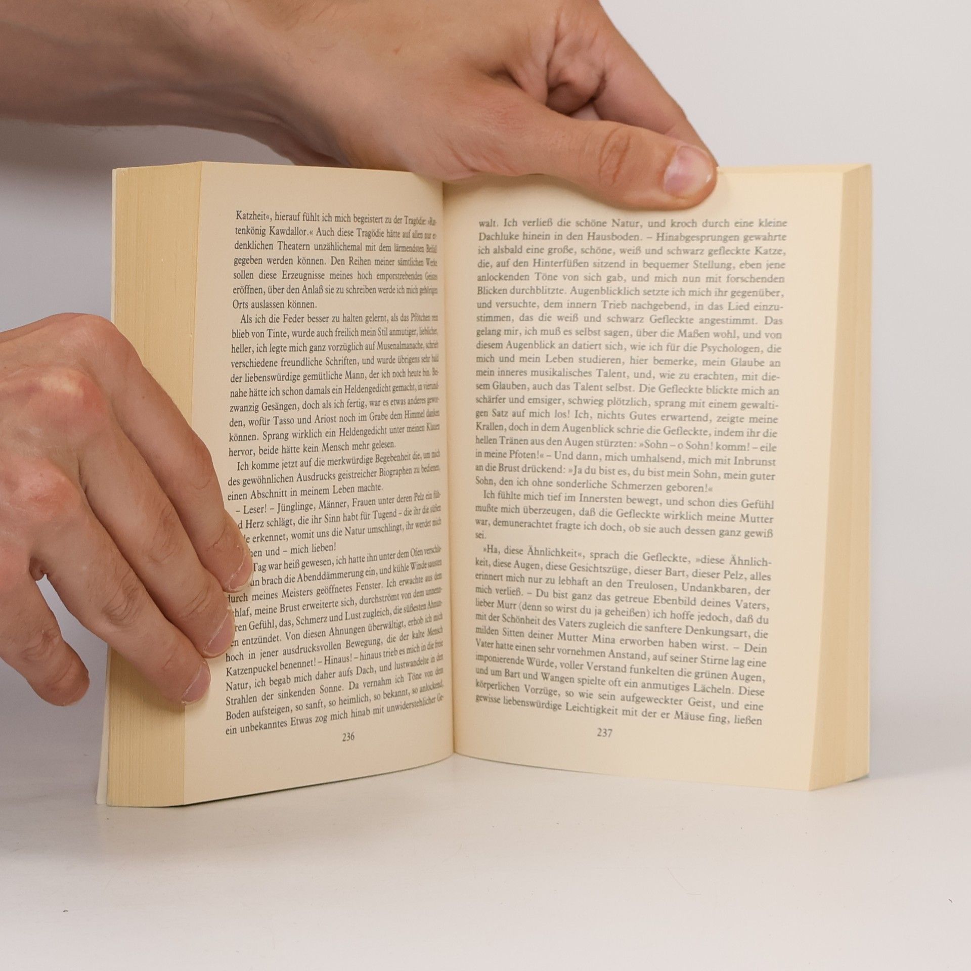 Akif Pirincci Akif Pirinccis grosses Katzenlesebuch