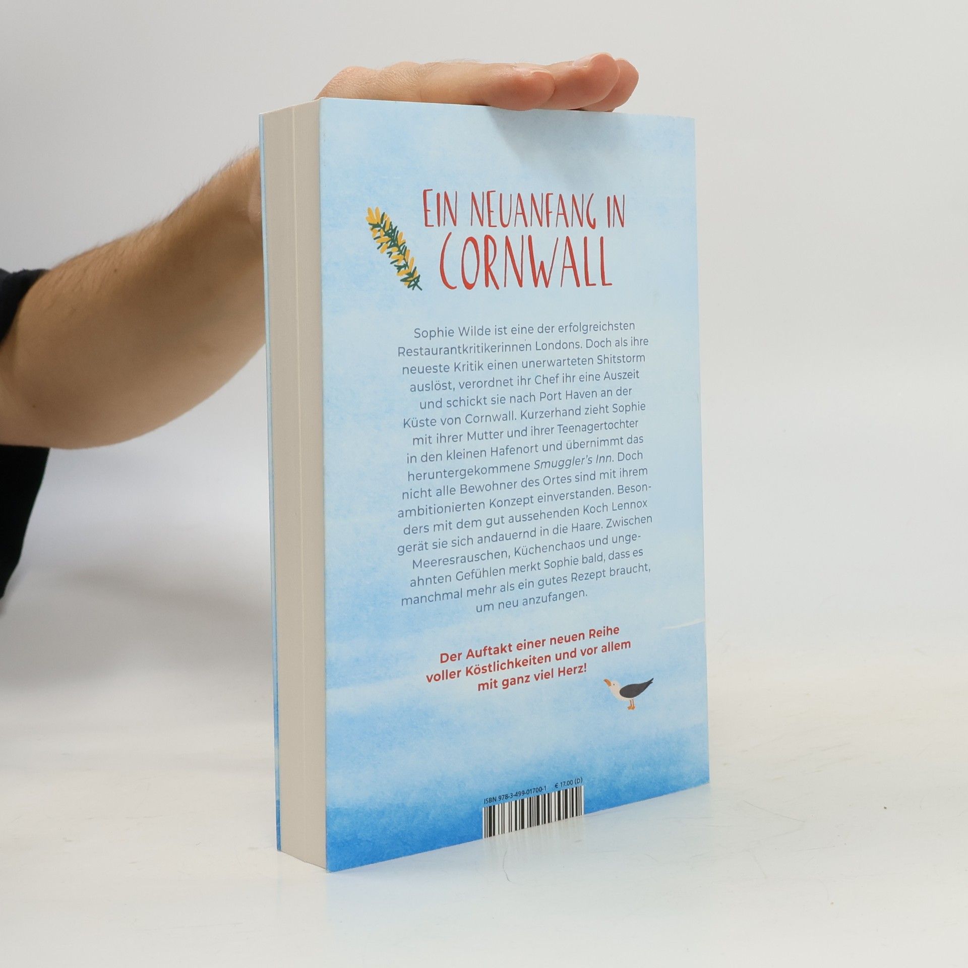 Irene-Katharina Herzog A Taste of Cornwall: Eine Prise Liebe