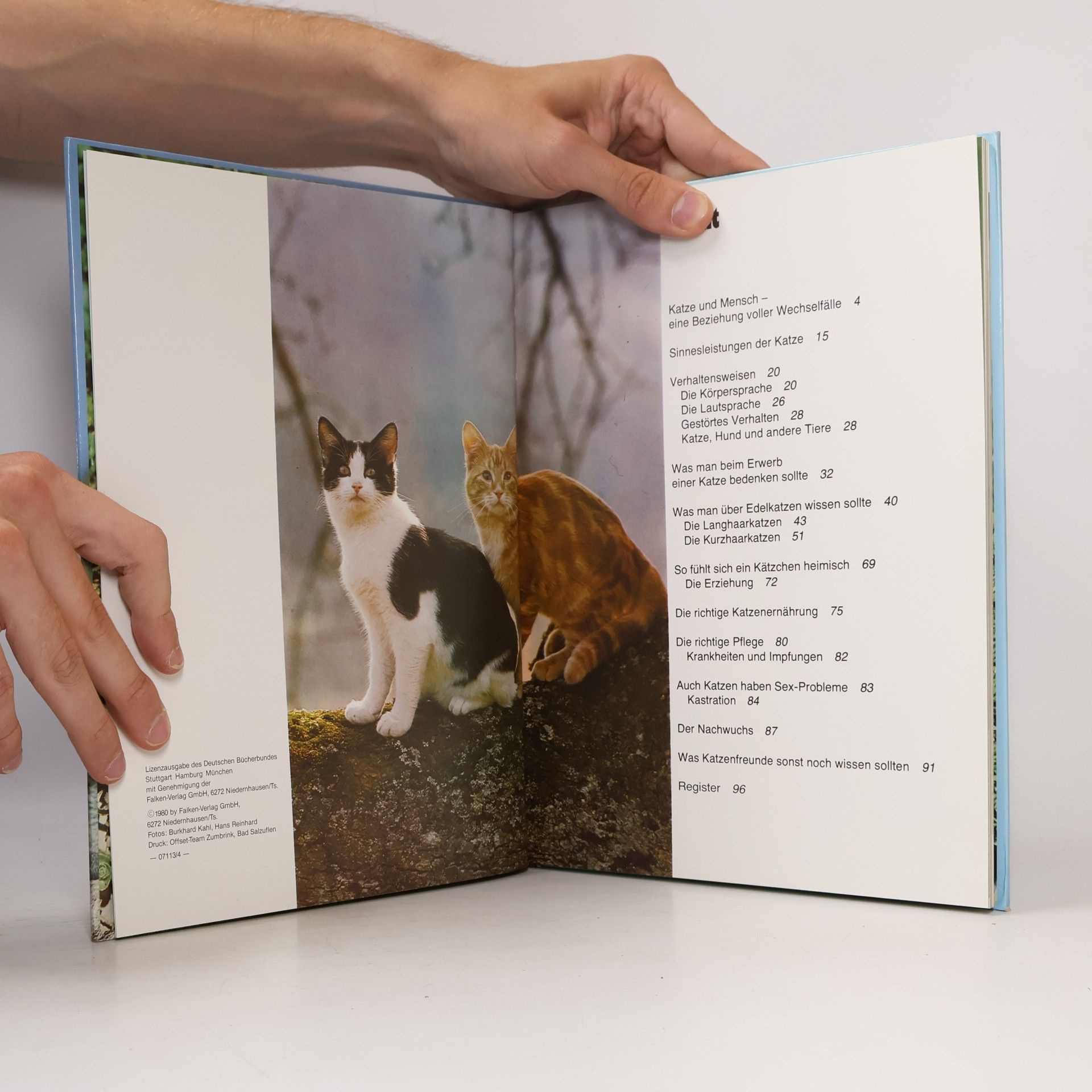 Brigitte EilertOverbeck Katzen