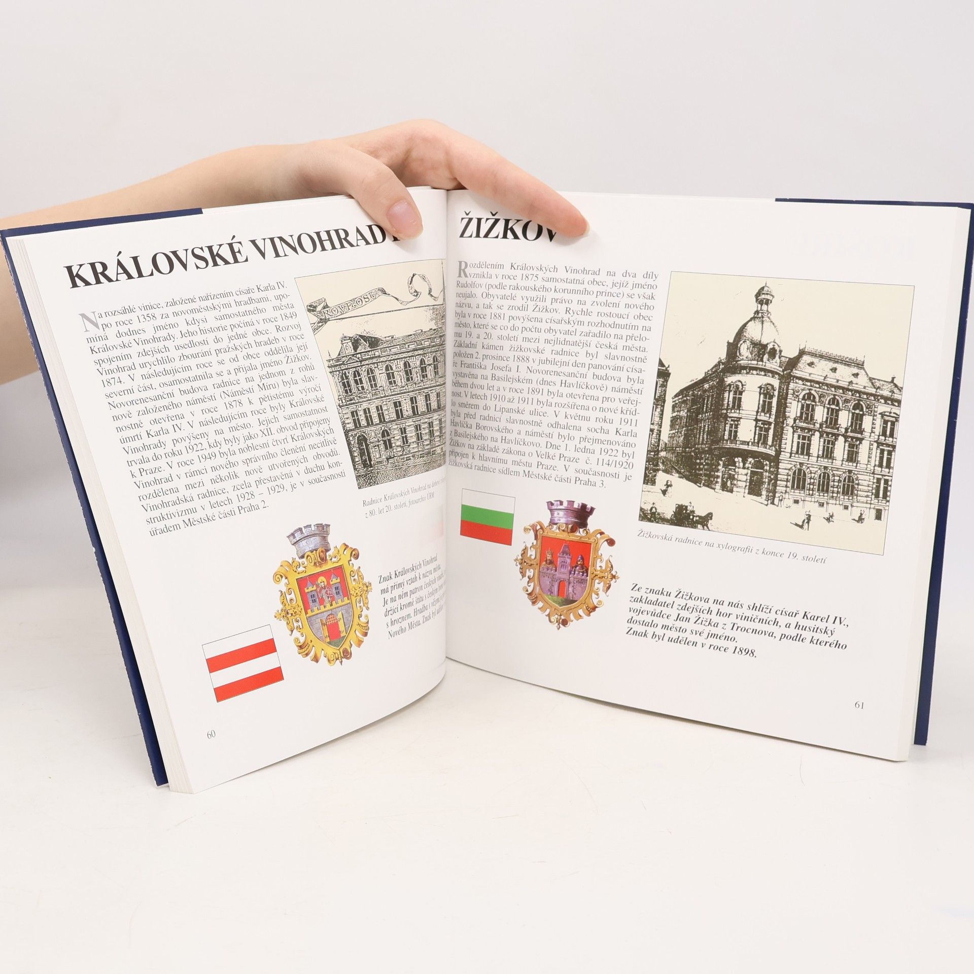 Autores varios Radnice měst pražských