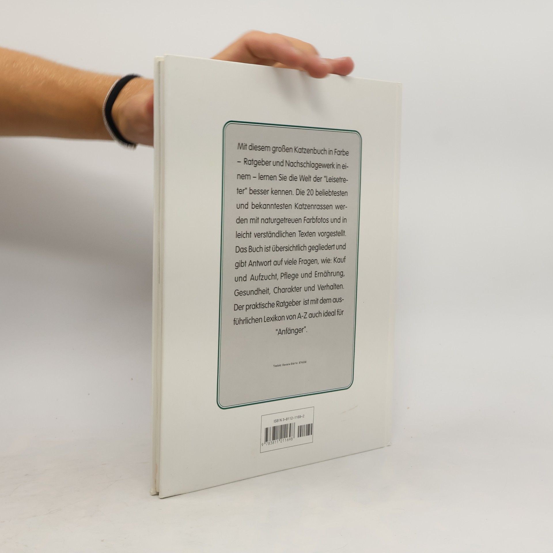Heinz Sponsel Das grosse Katzenbuch in Farbe