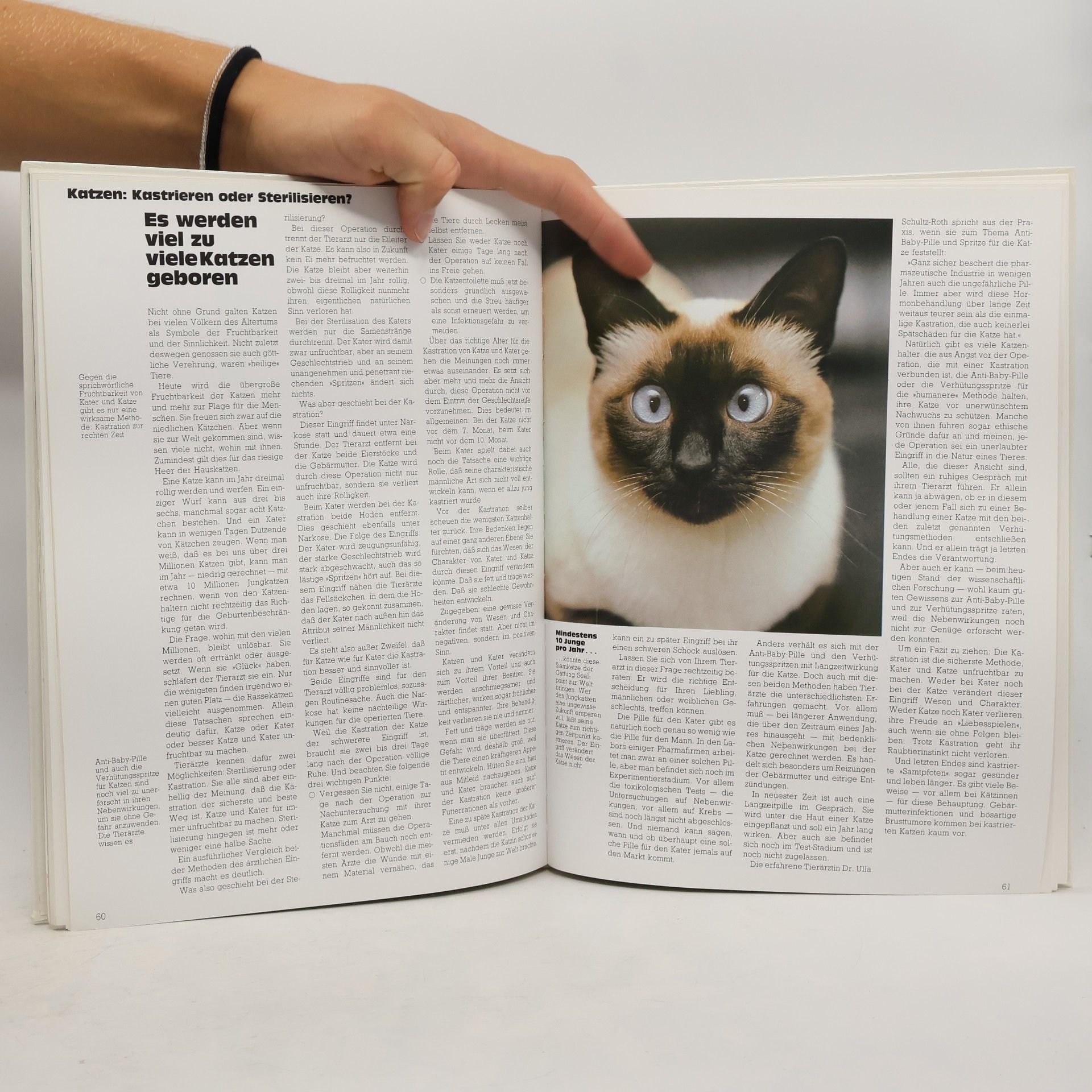 Heinz Sponsel Das grosse Katzenbuch in Farbe