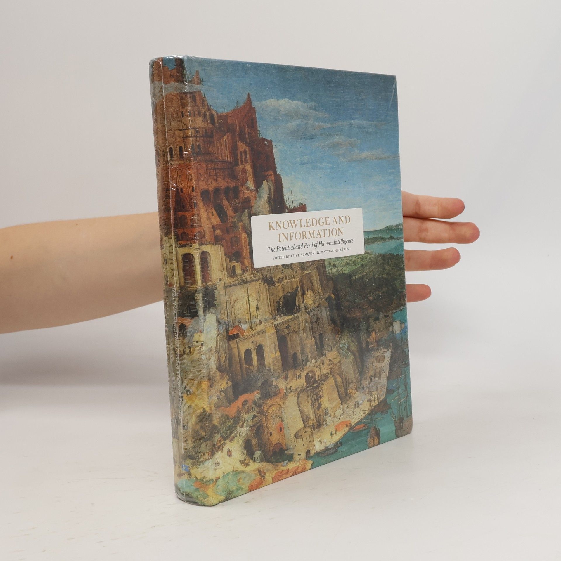 Mattias Hessérus Essay Series: Knowledge And Information