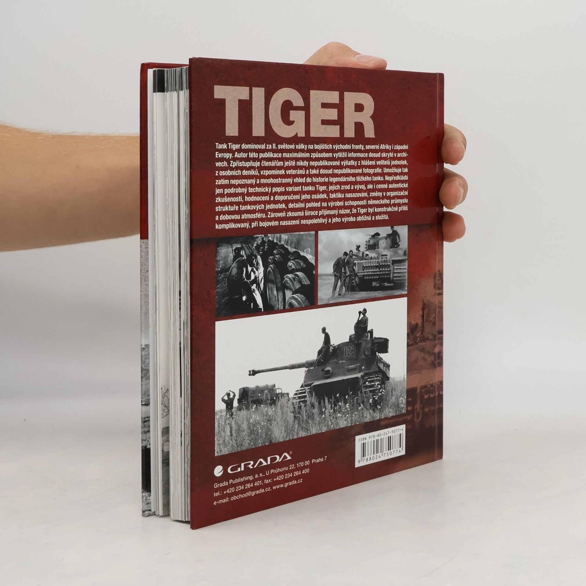 Thomas Anderson Tiger