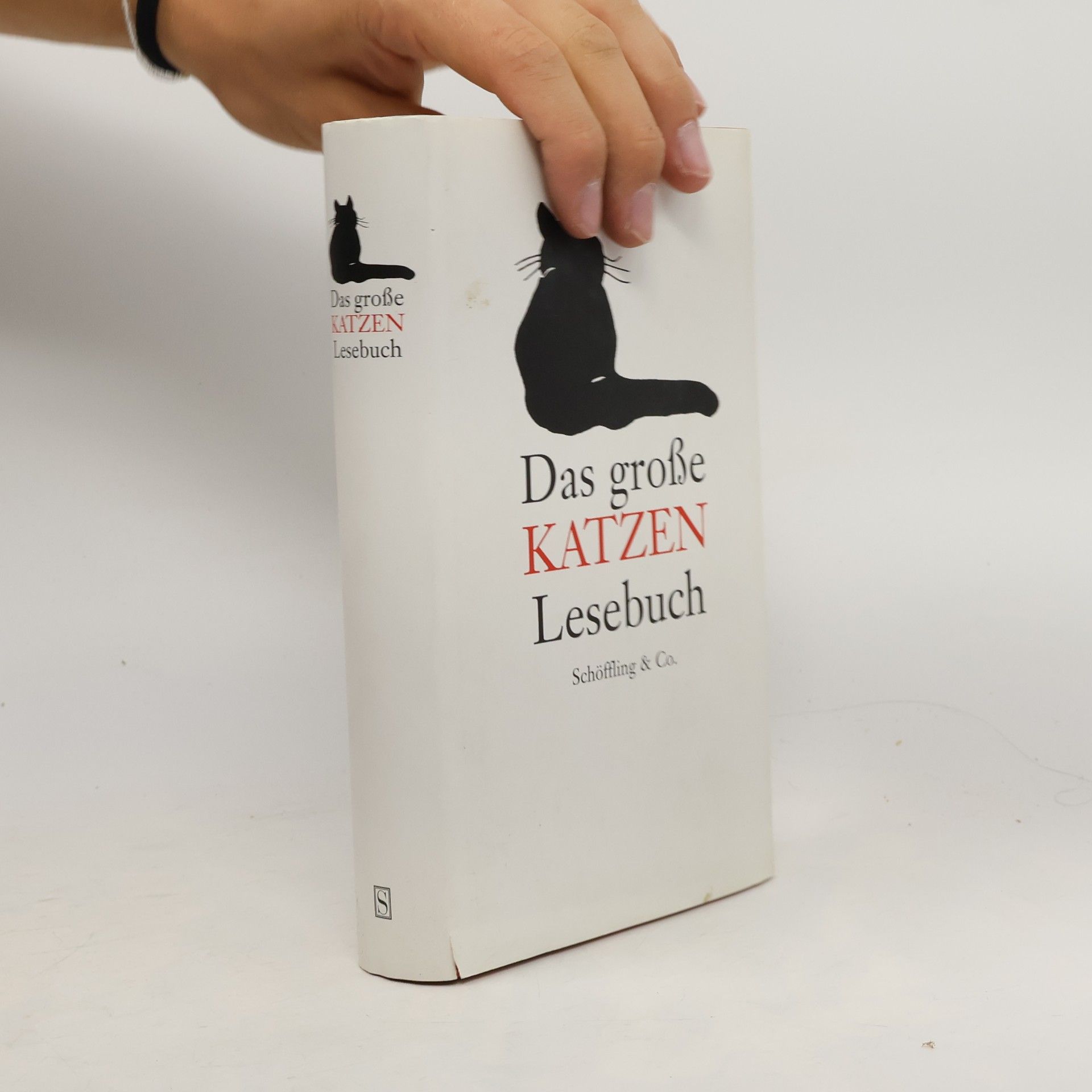Julia Bachstein Das große Katzen-Lesebuch