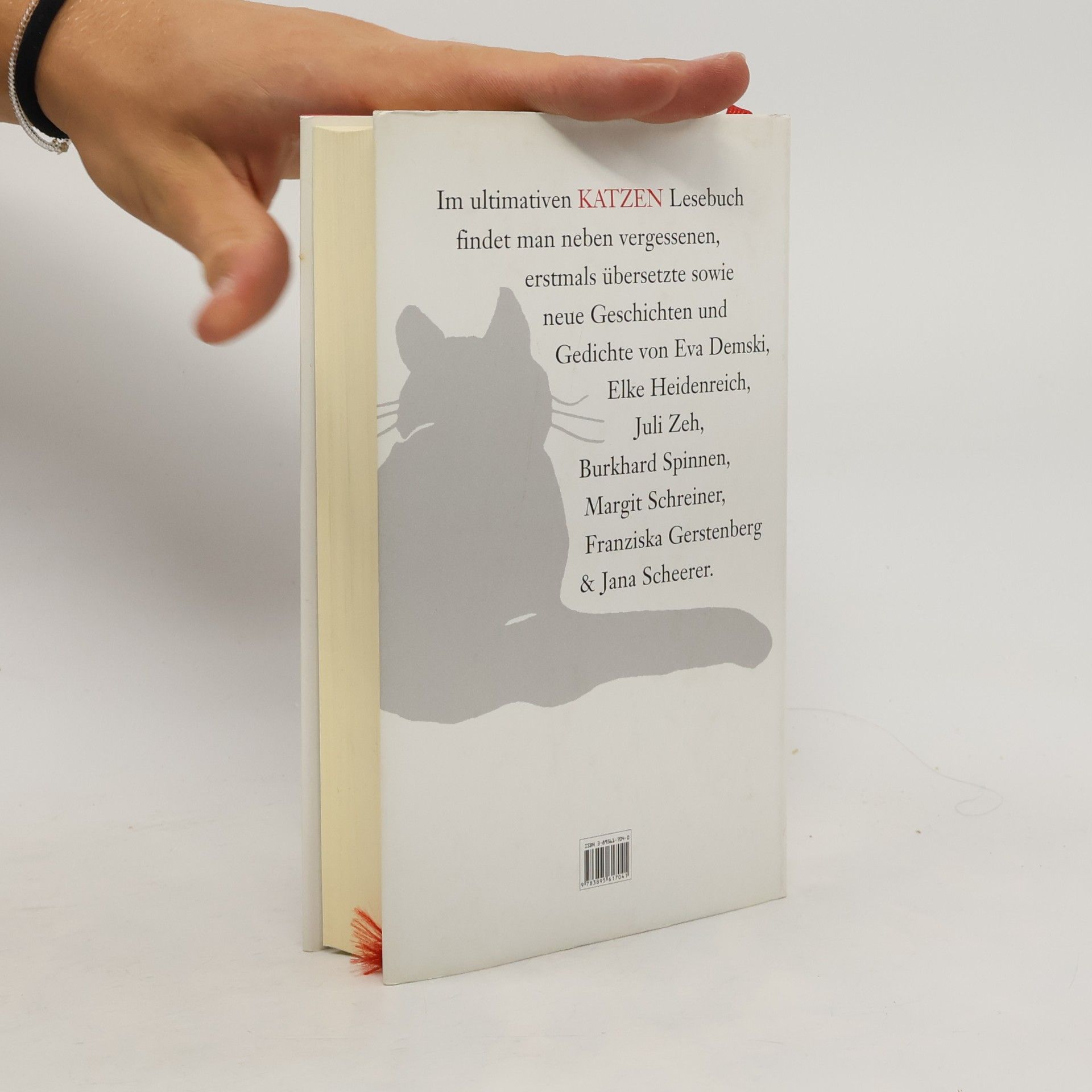 Julia Bachstein Das große Katzen-Lesebuch