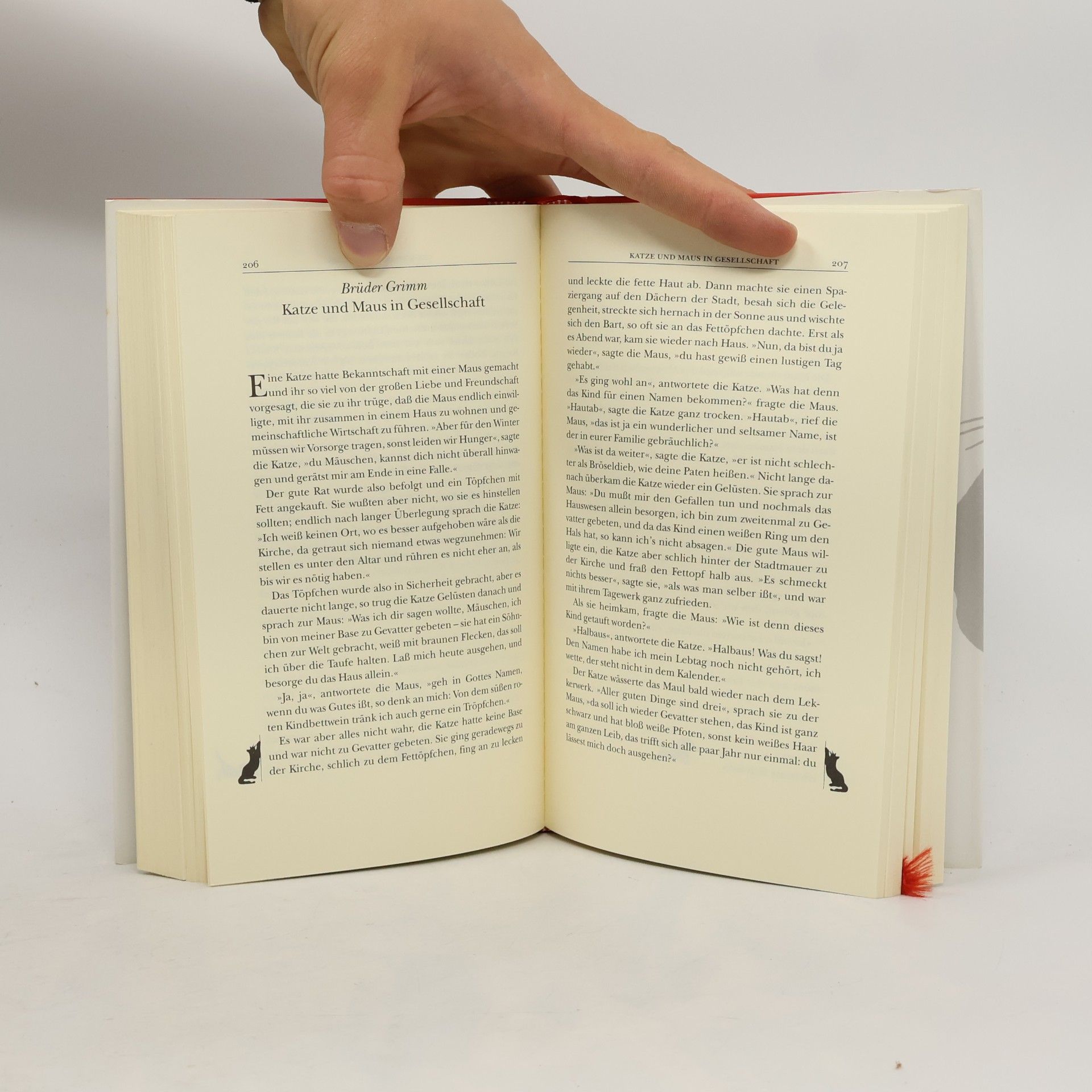 Julia Bachstein Das große Katzen-Lesebuch