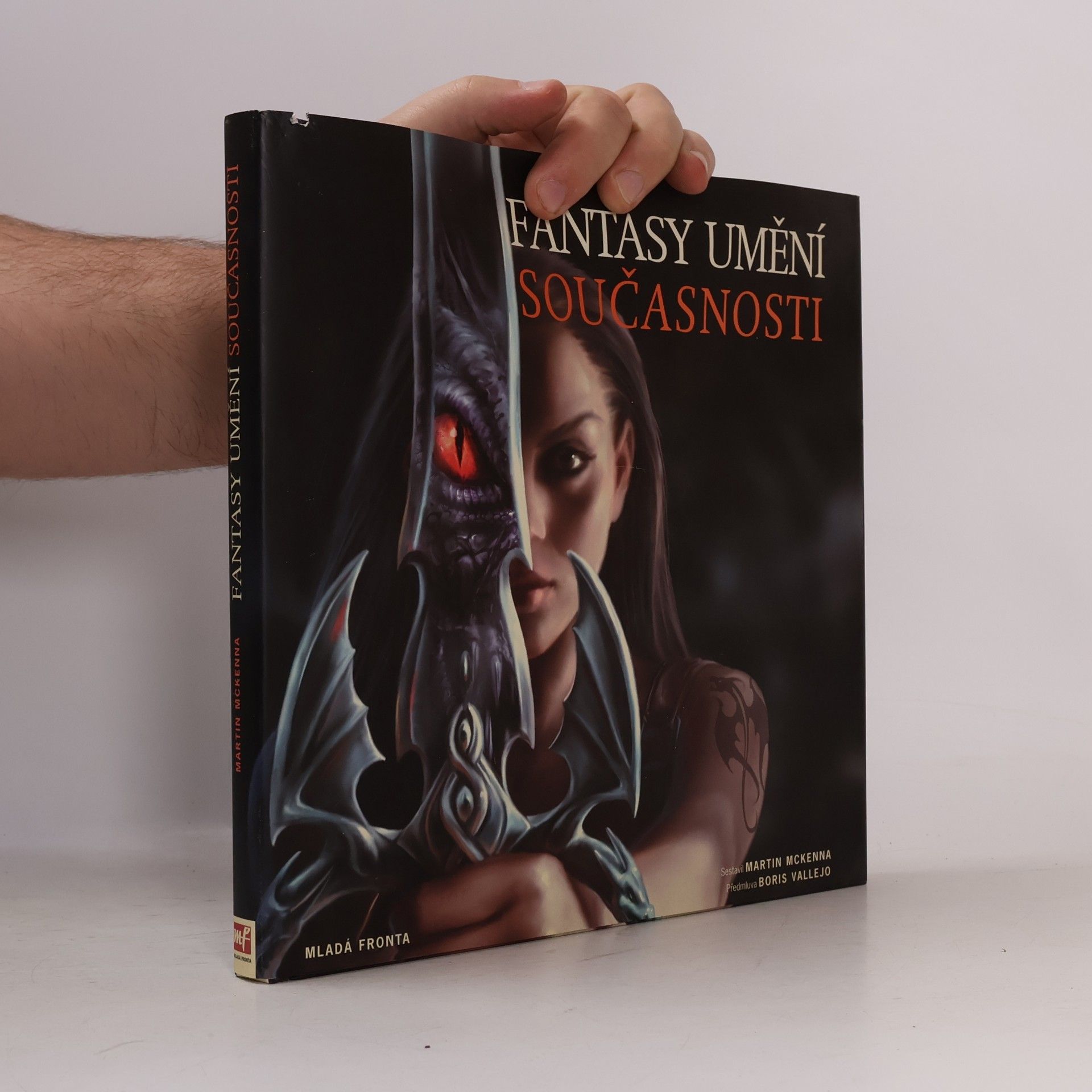 Martin McKenna Fantasy umění současnosti: To nejlepší ze současného fantasy umění