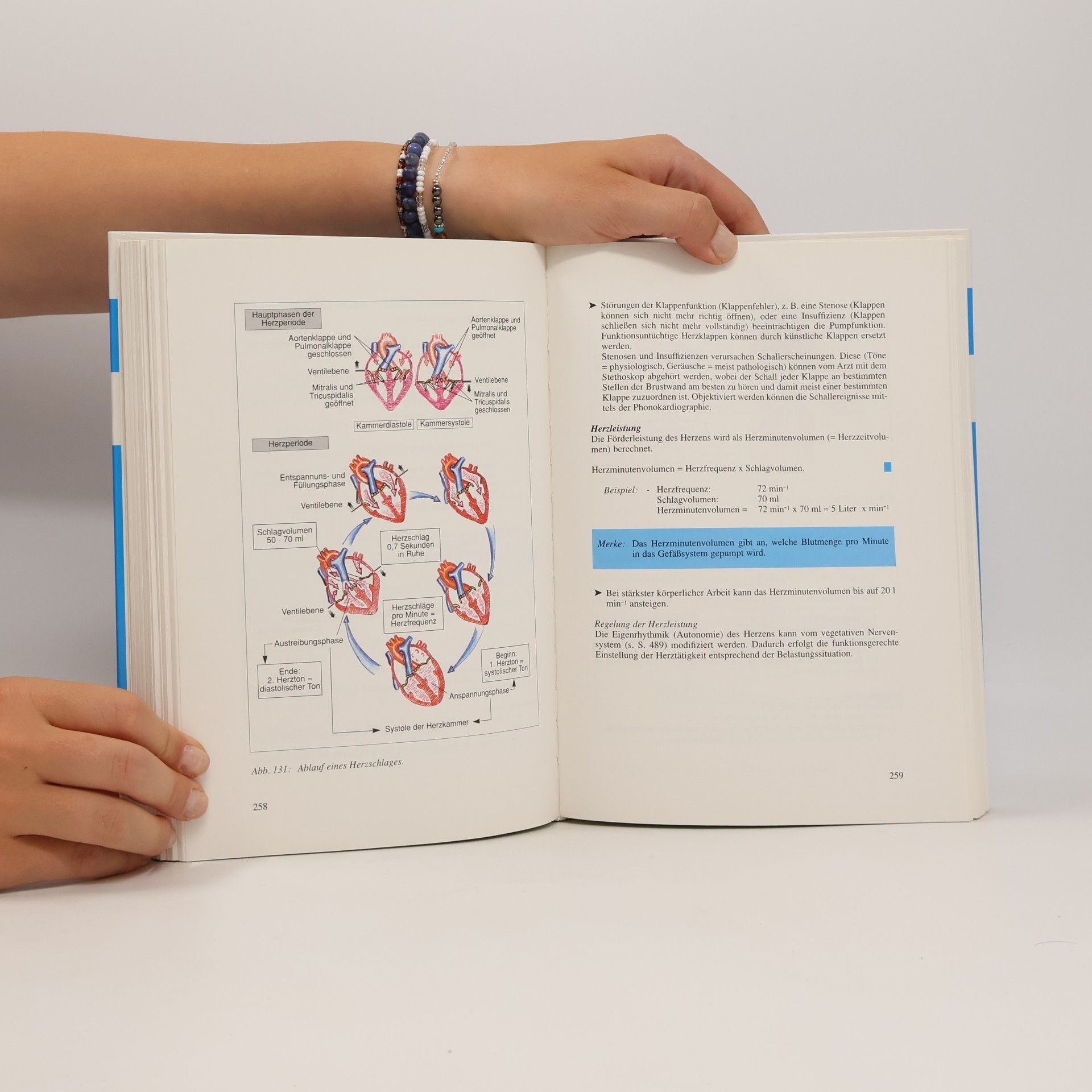 Martin Trebsdorf Biologie, Anatomie, Physiologie