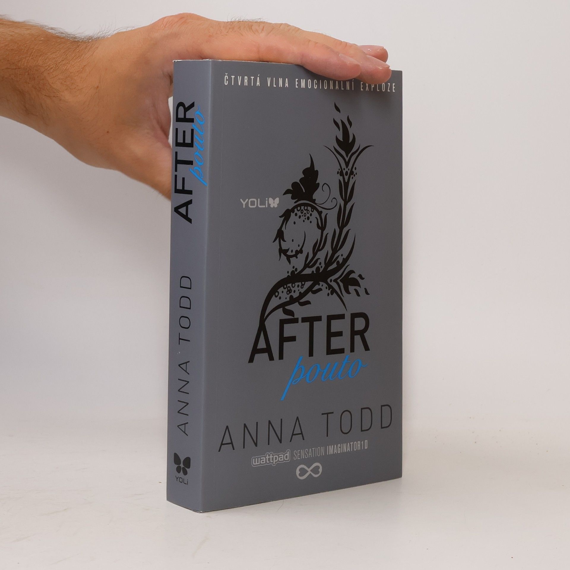 Anna Todd After. Pouto
