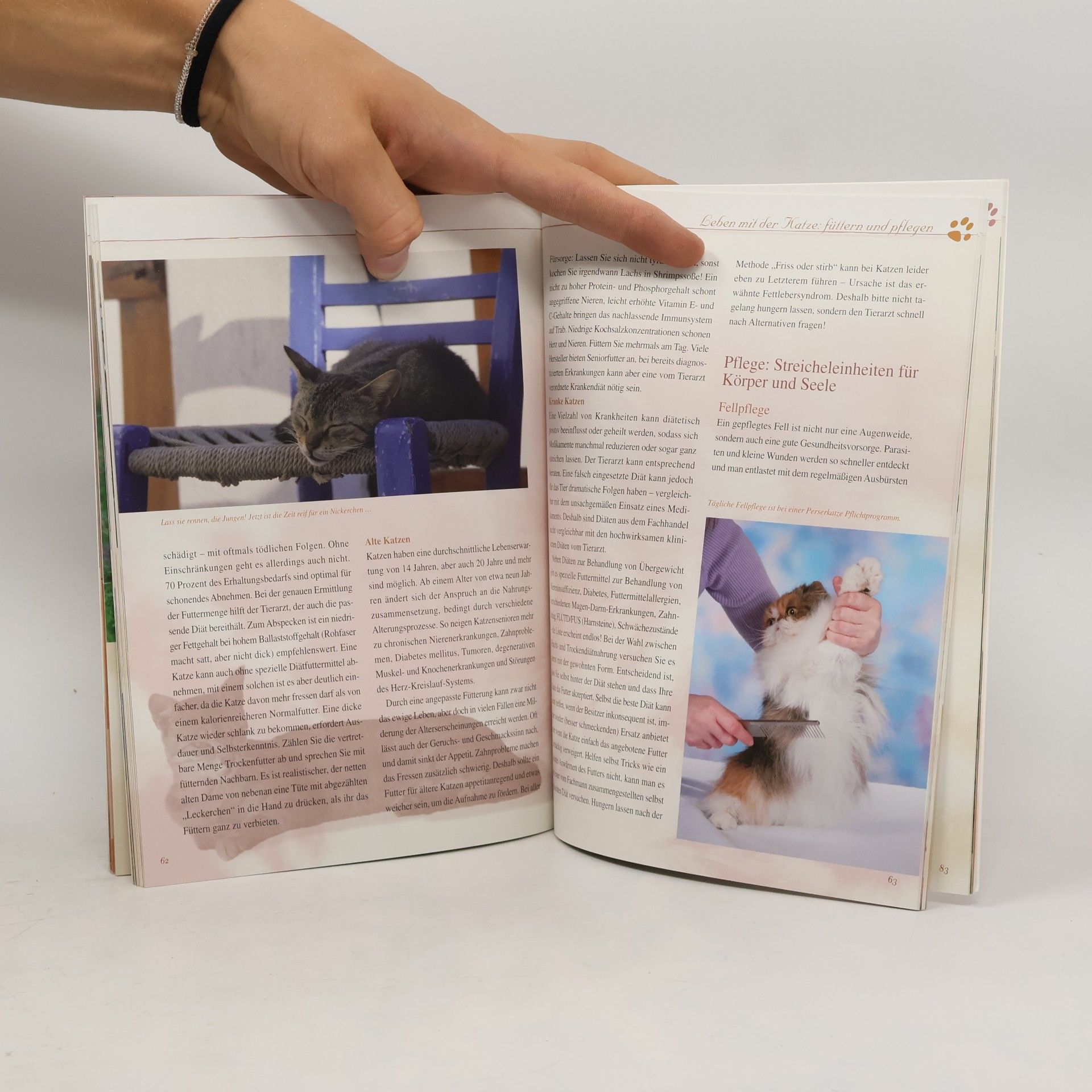 Barbara Wehr Das Samtpfoten-Handbuch