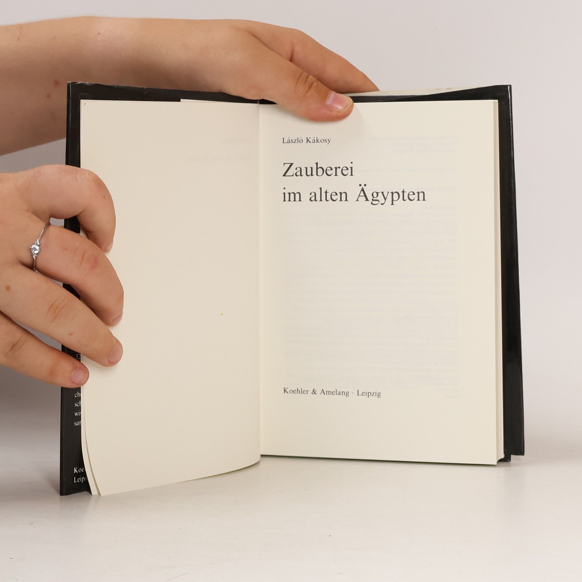 László Kákosy Zauberei im alten Ägypten