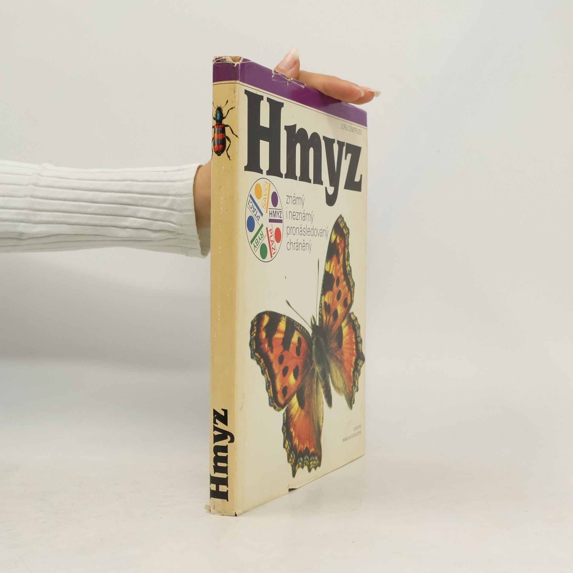 Hmyz