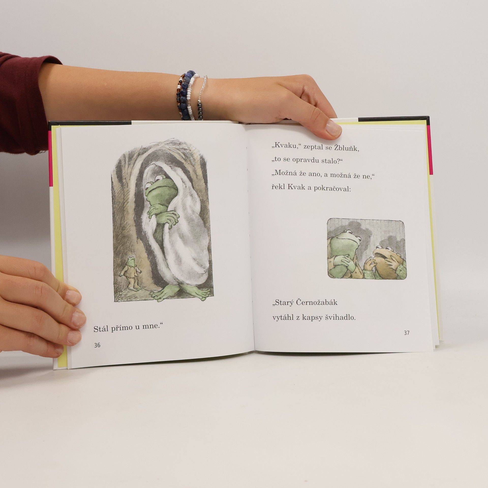 Arnold Lobel Kvak a Žbluňk se bojí rádi