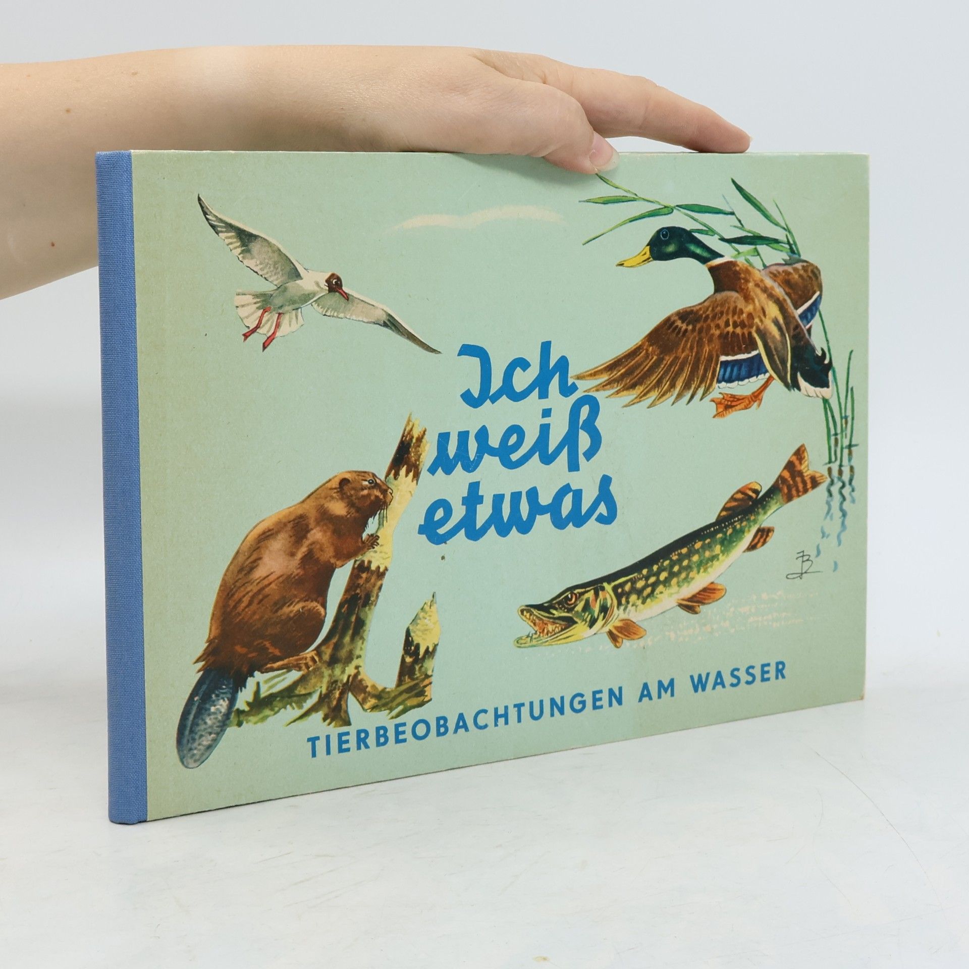 Waldemar Schulz Ich weiß etwas Tierbeobachtungen am Wege