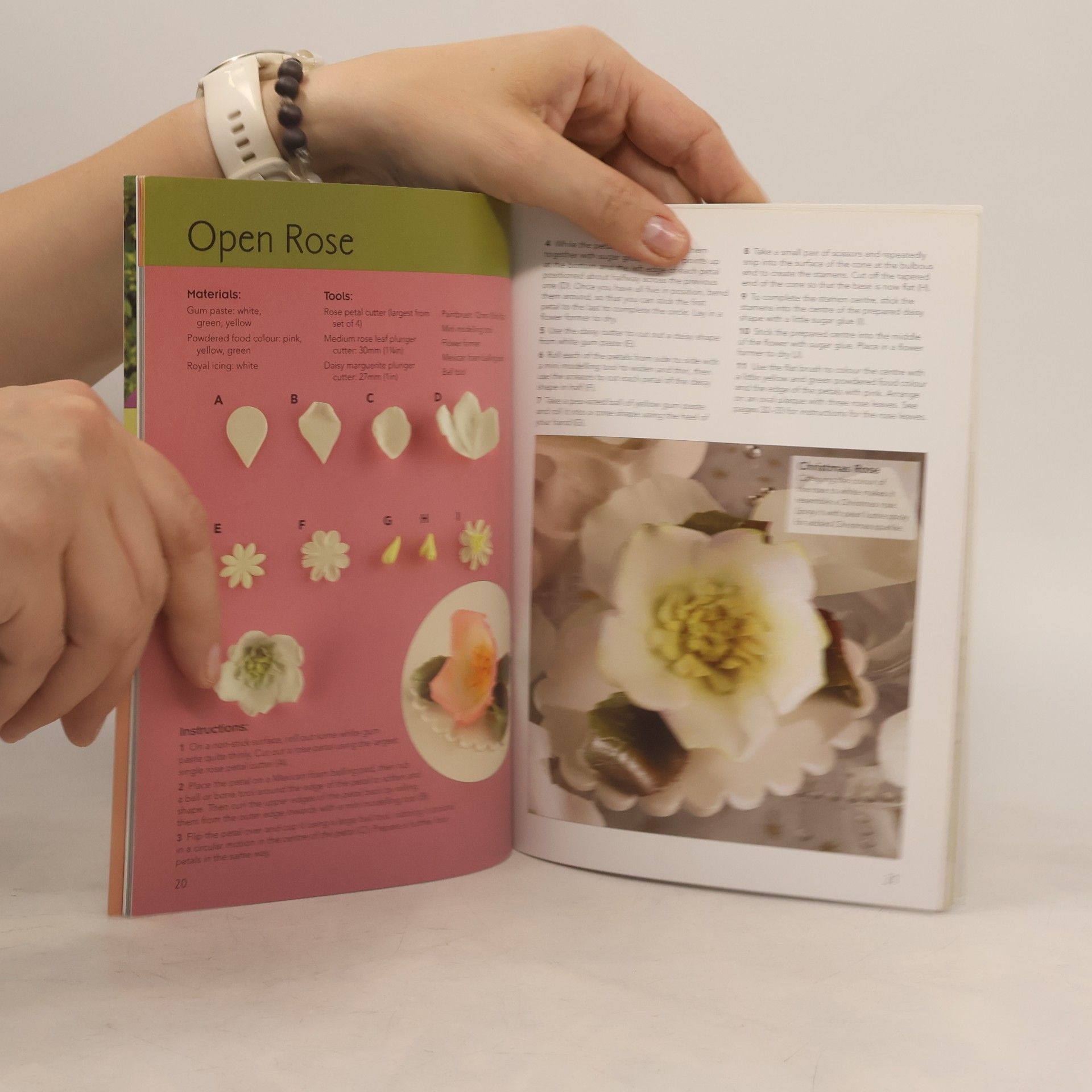 Lisa Slatter Twenty to Make: Sugar Flowers