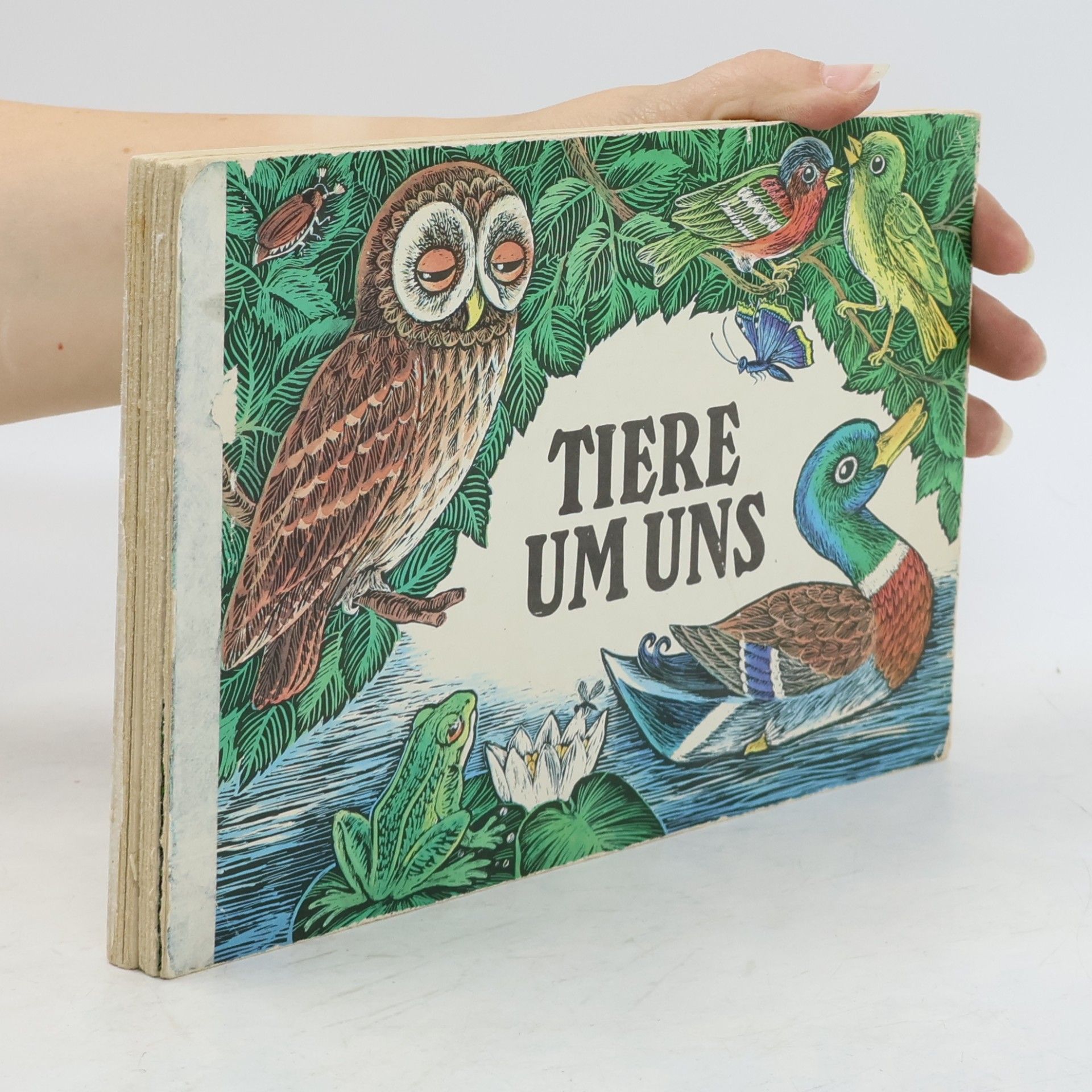 Tiere um uns