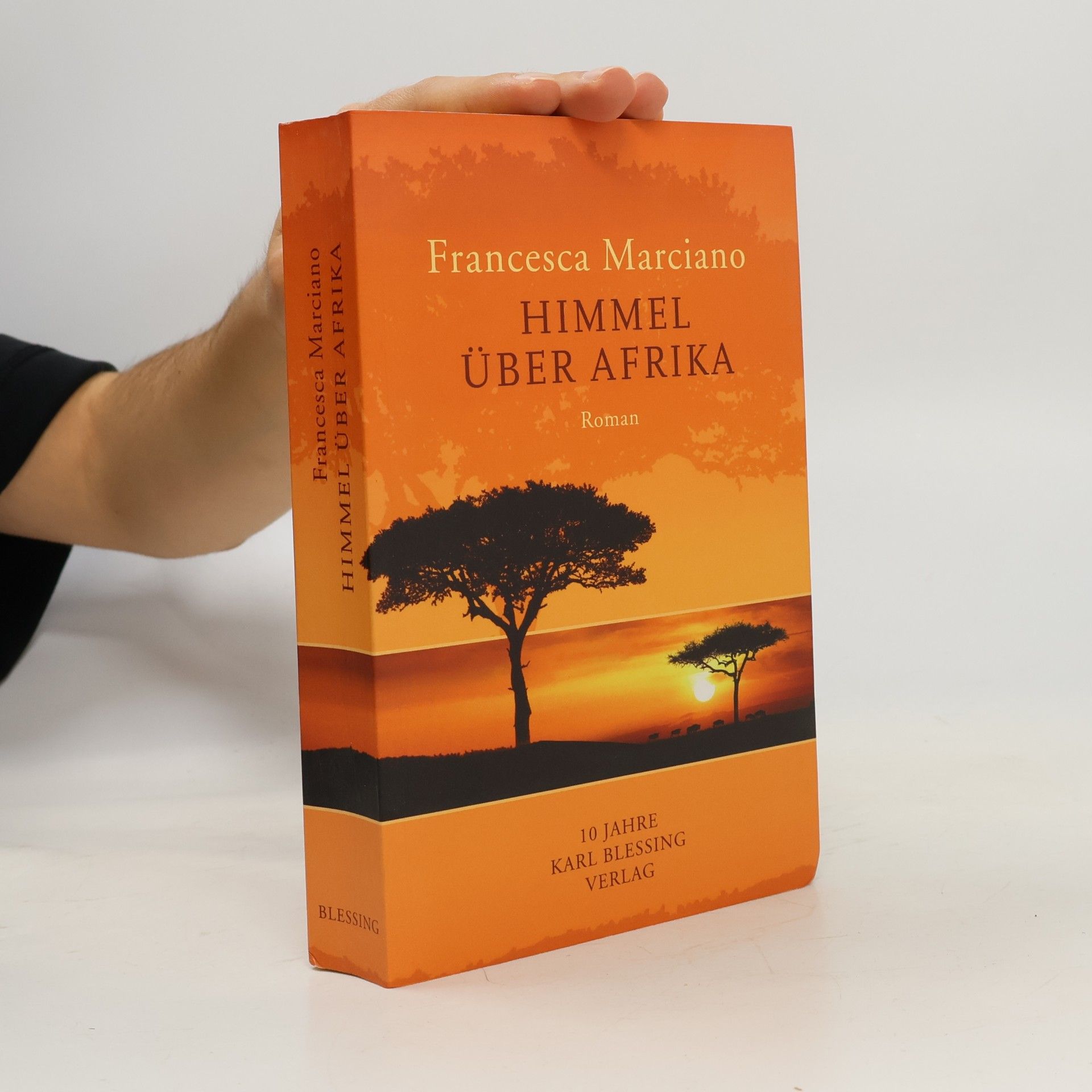 Francesca Marciano Himmel über Afrika
