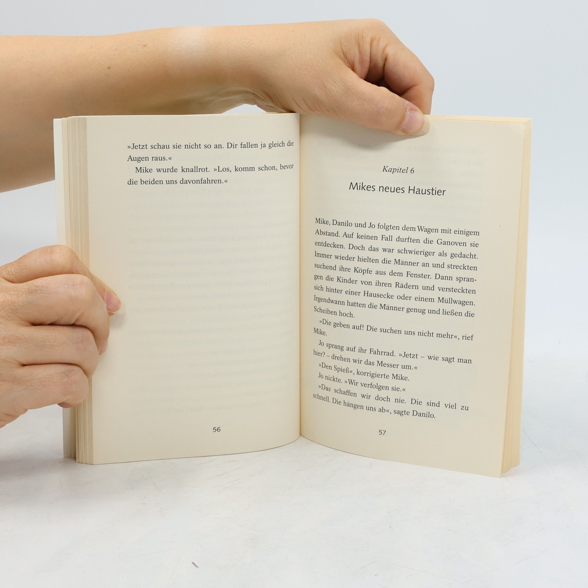 Dirk Ahner Ich schenk dir eine Geschichte