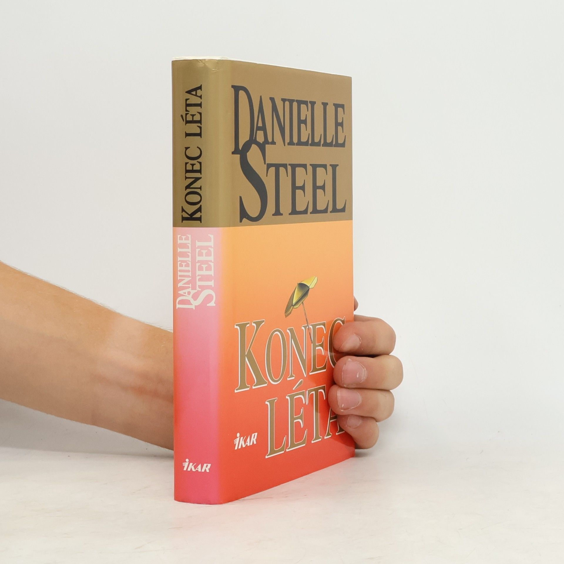 Danielle Steel Konec léta