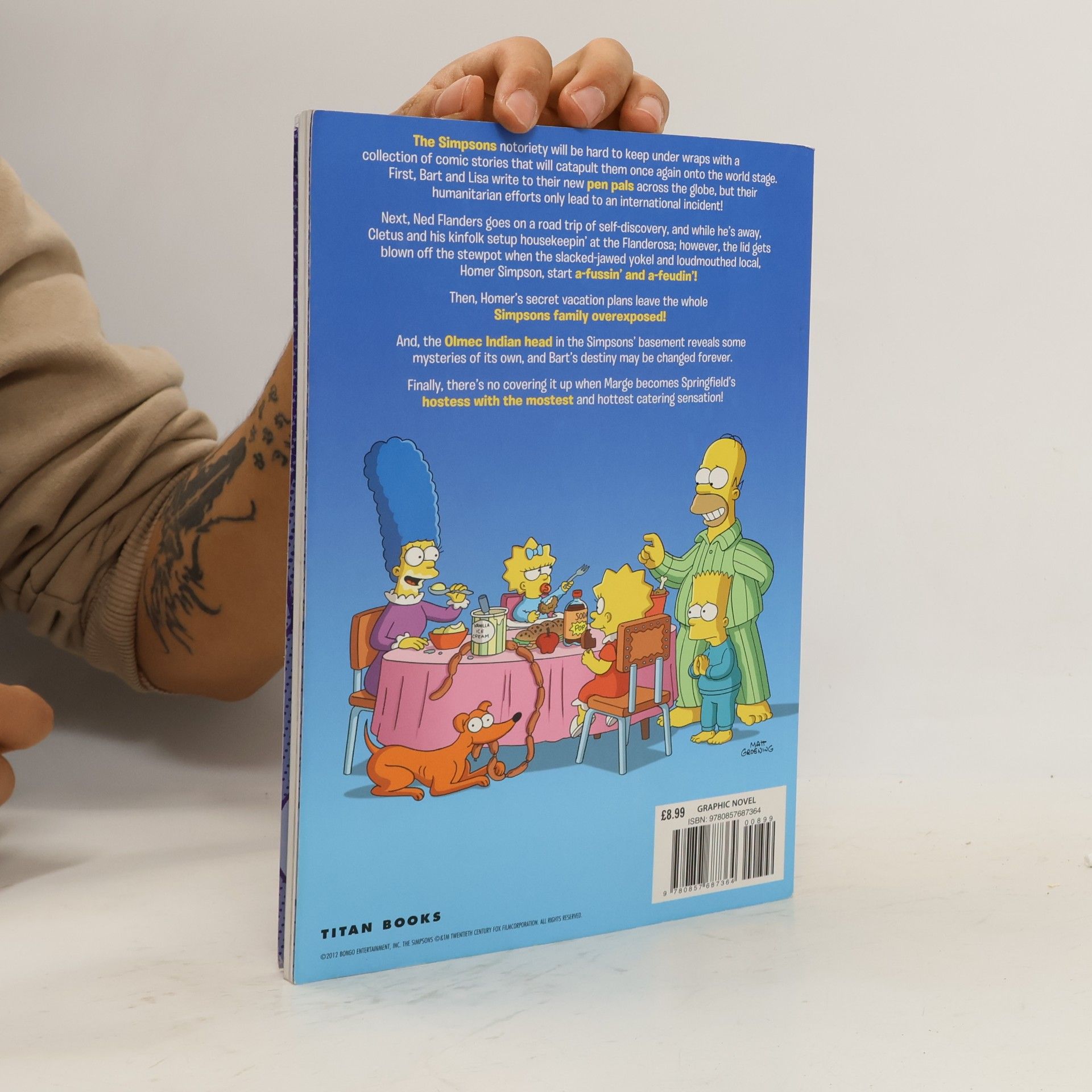 Matt Groening Simpsons Comics - Confidential