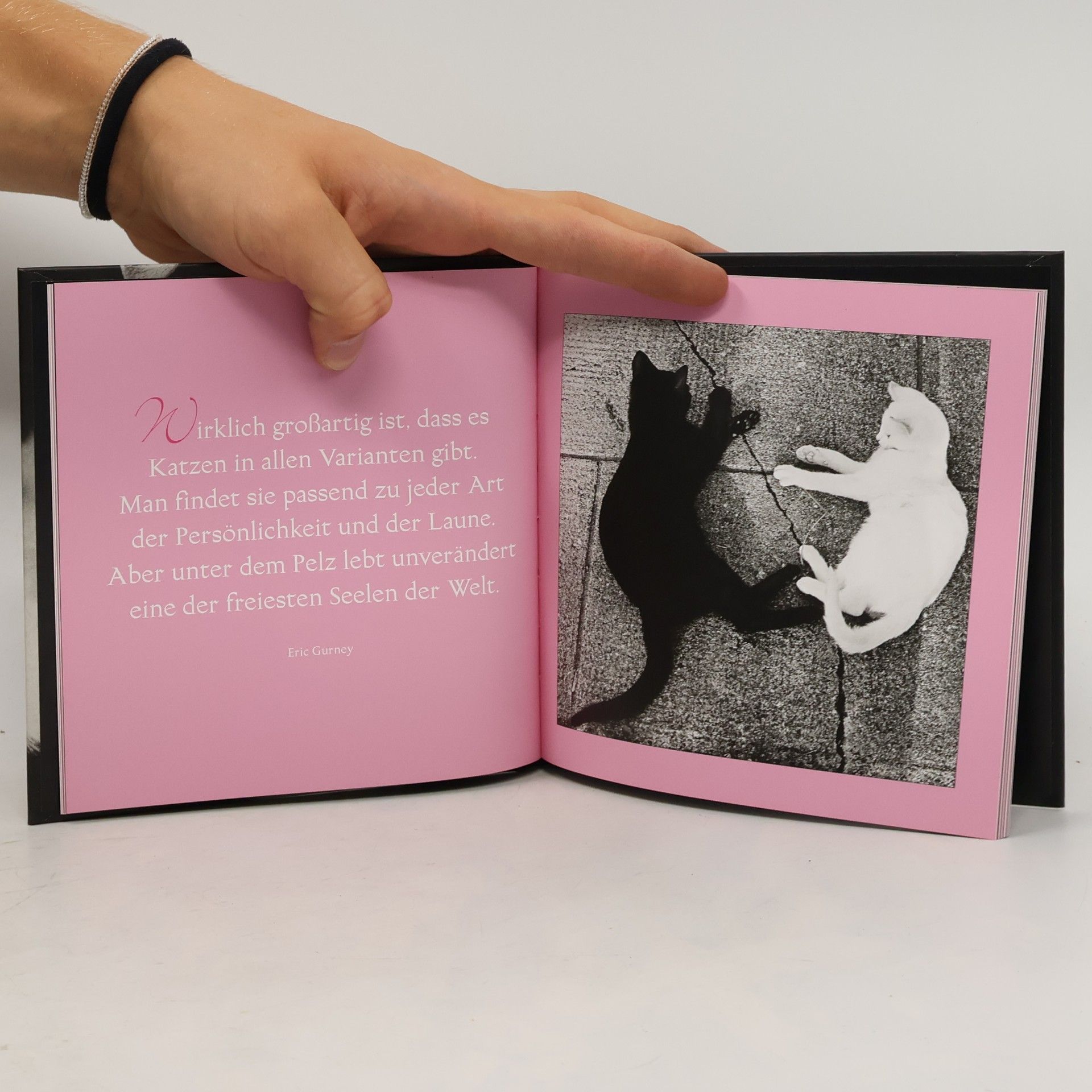 Christine Guggemos Cats