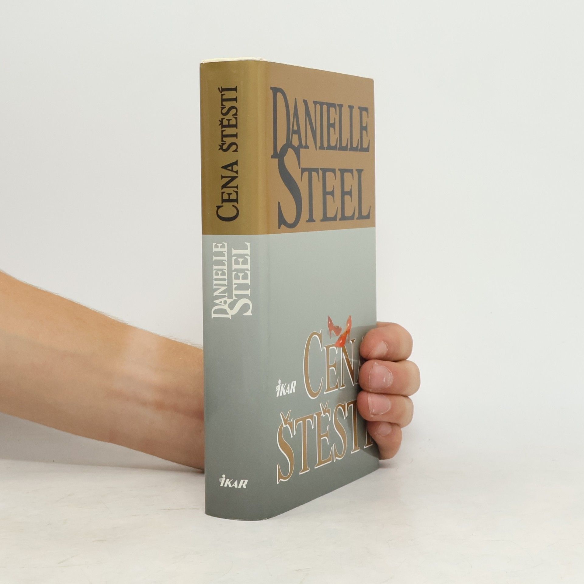 Danielle Steel Cena štěstí