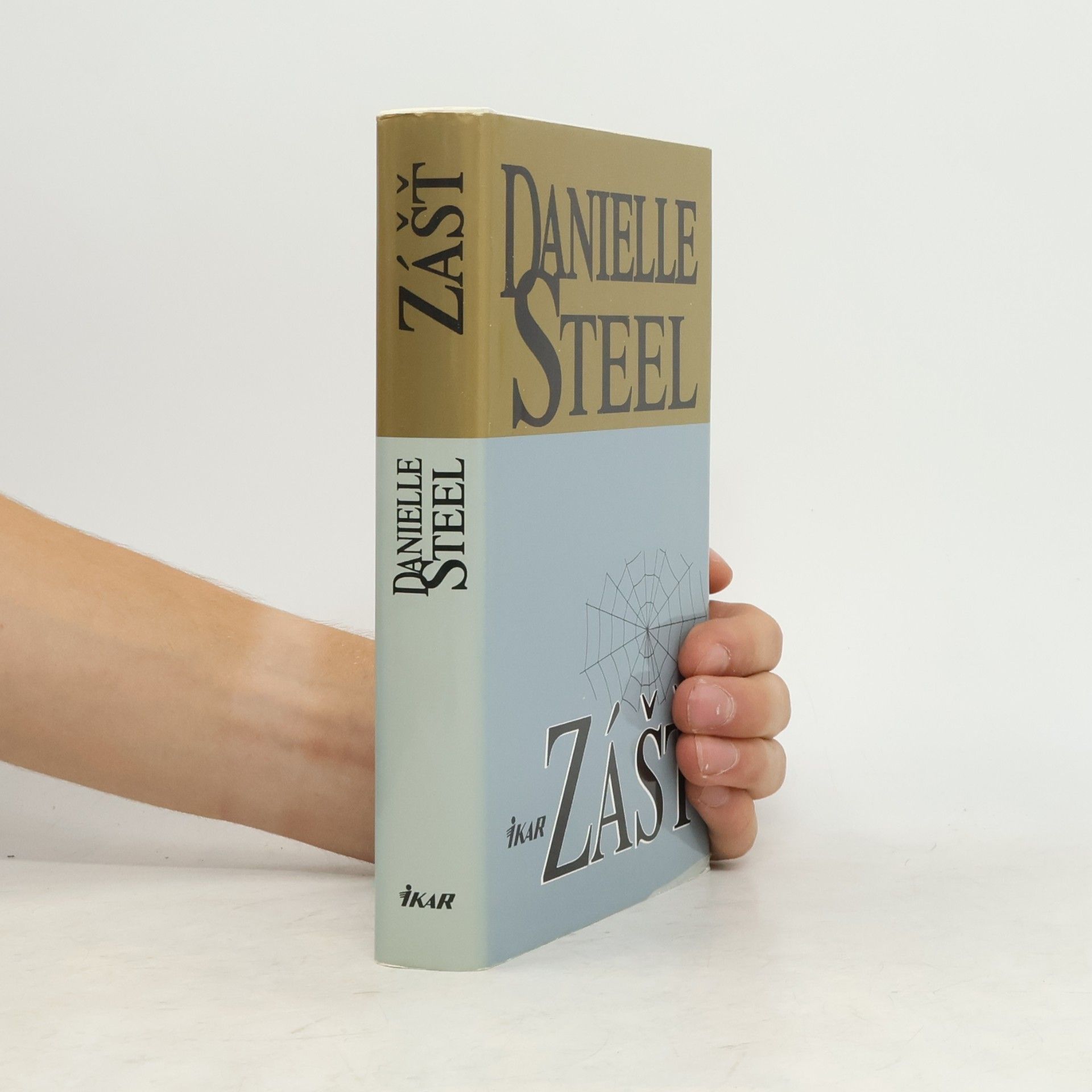 Danielle Steel Zášť