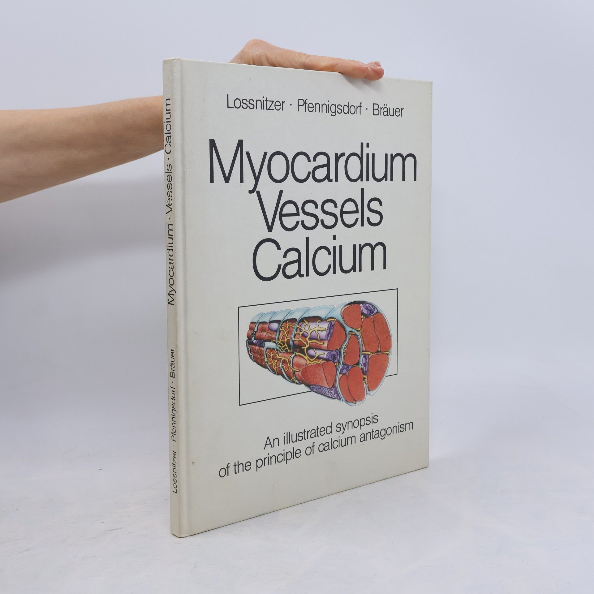 Myocardium, Vessels, Calcium