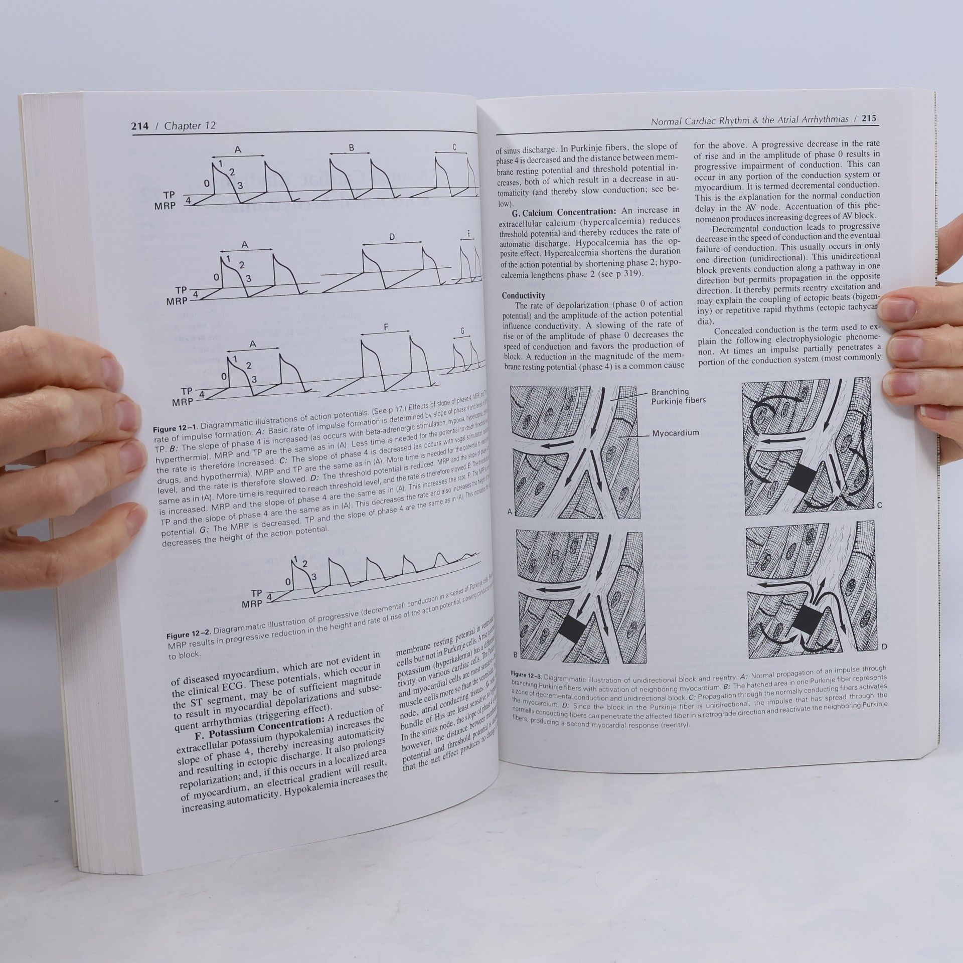 Mervin J Goldman Principles of Clinical Electrocardiography