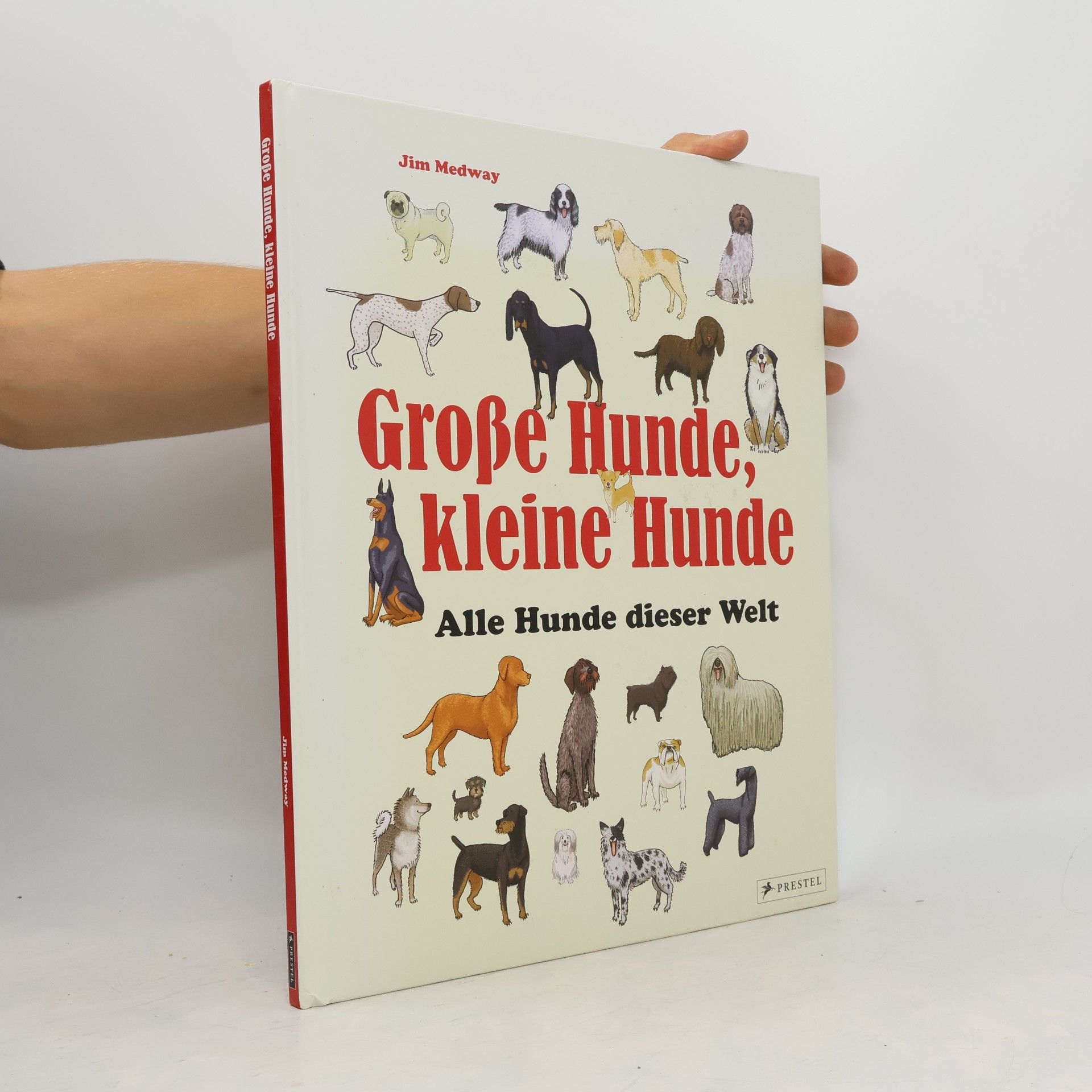 Jim Medway Große Hunde, kleine Hunde