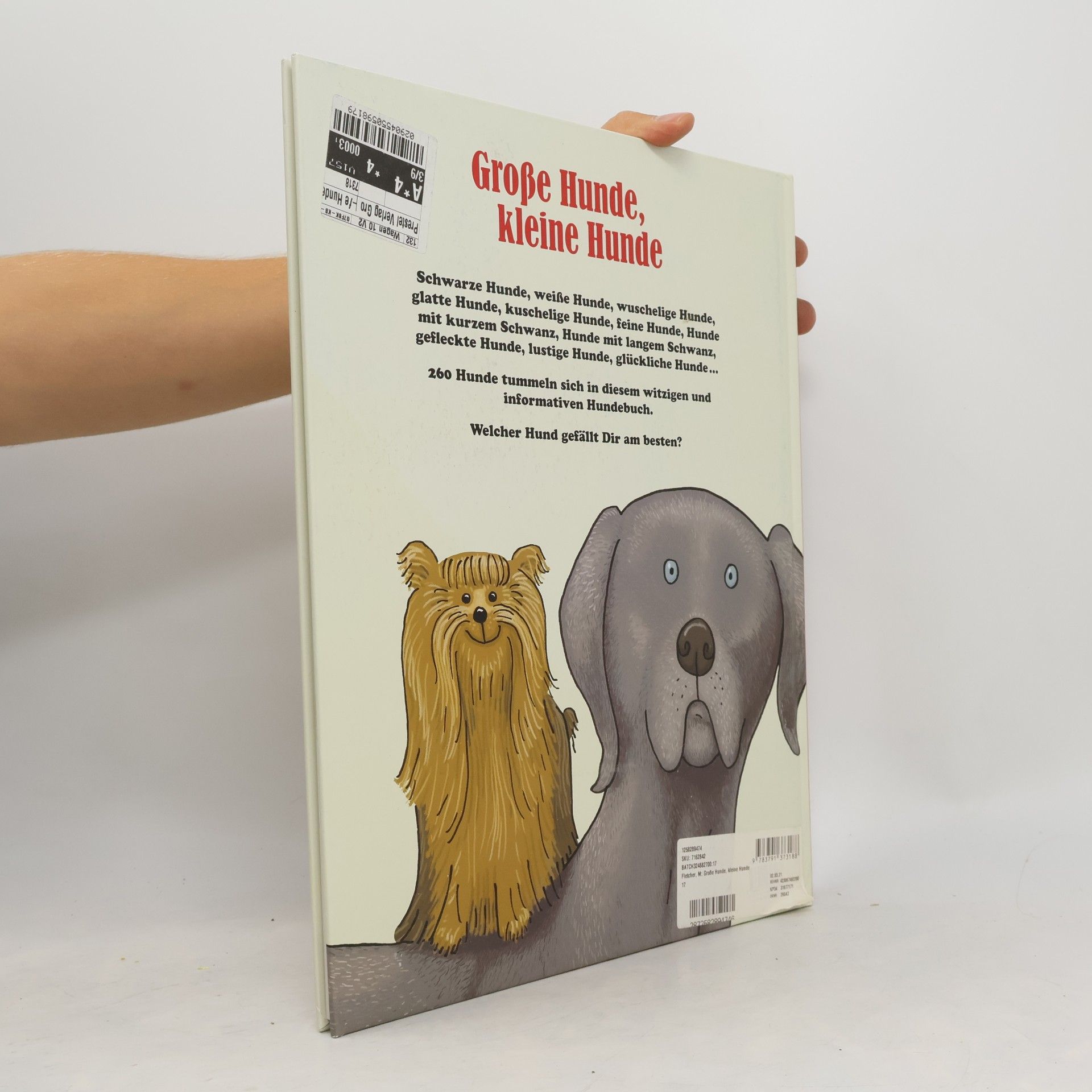 Jim Medway Große Hunde, kleine Hunde