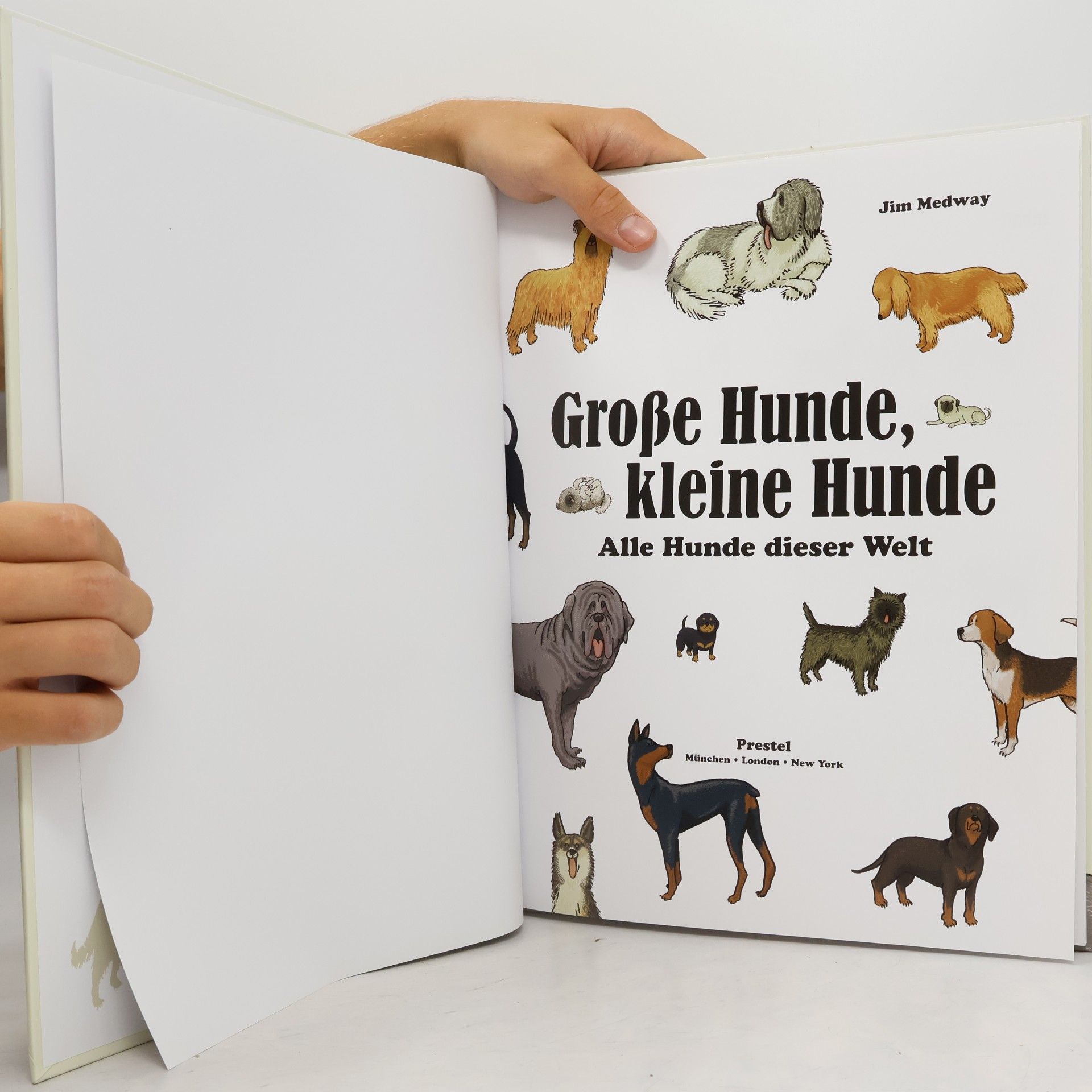 Jim Medway Große Hunde, kleine Hunde