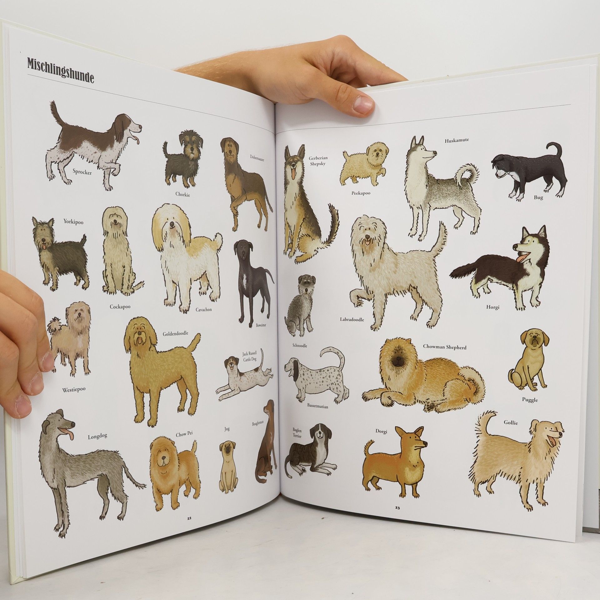 Jim Medway Große Hunde, kleine Hunde