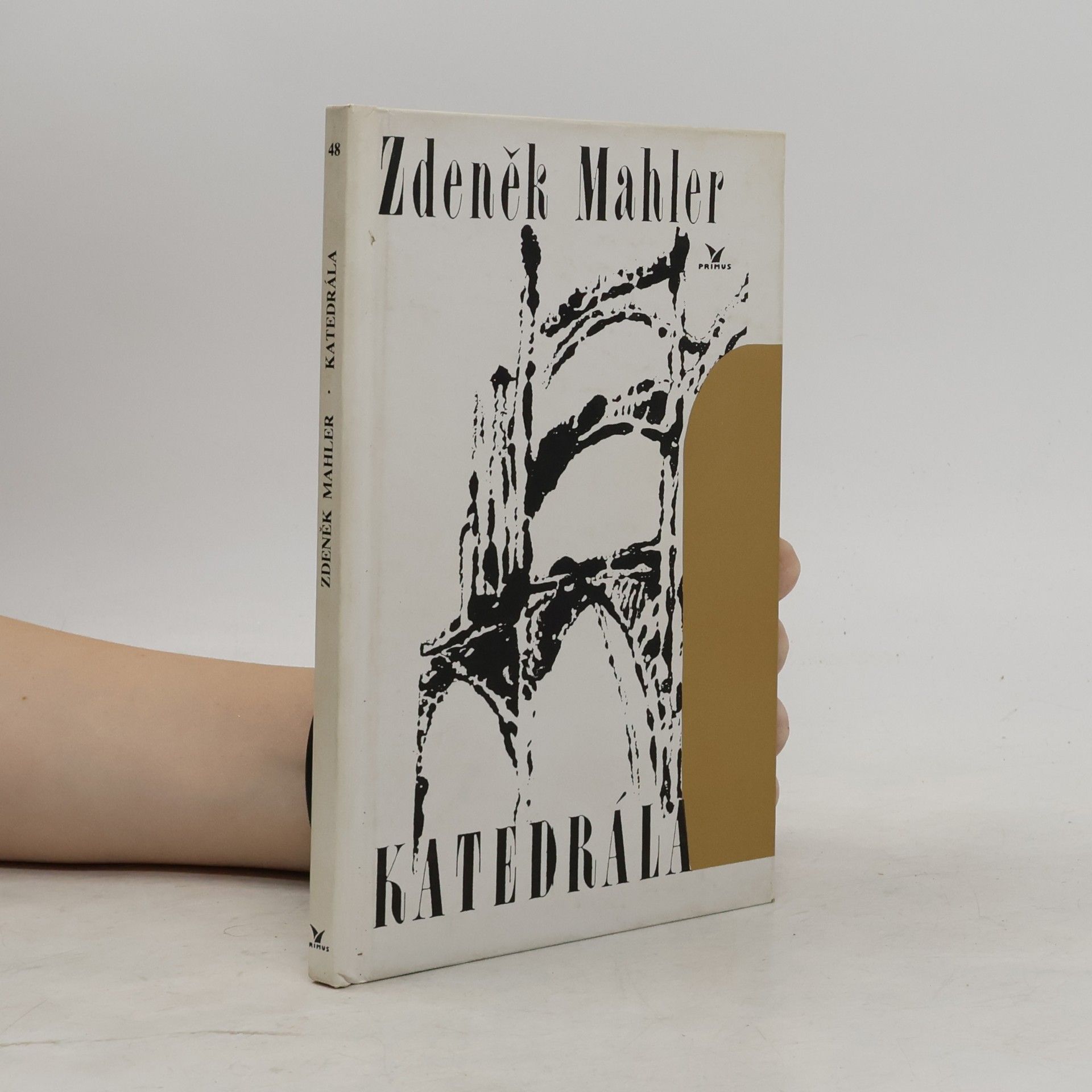 Zdeněk Mahler Katedrála