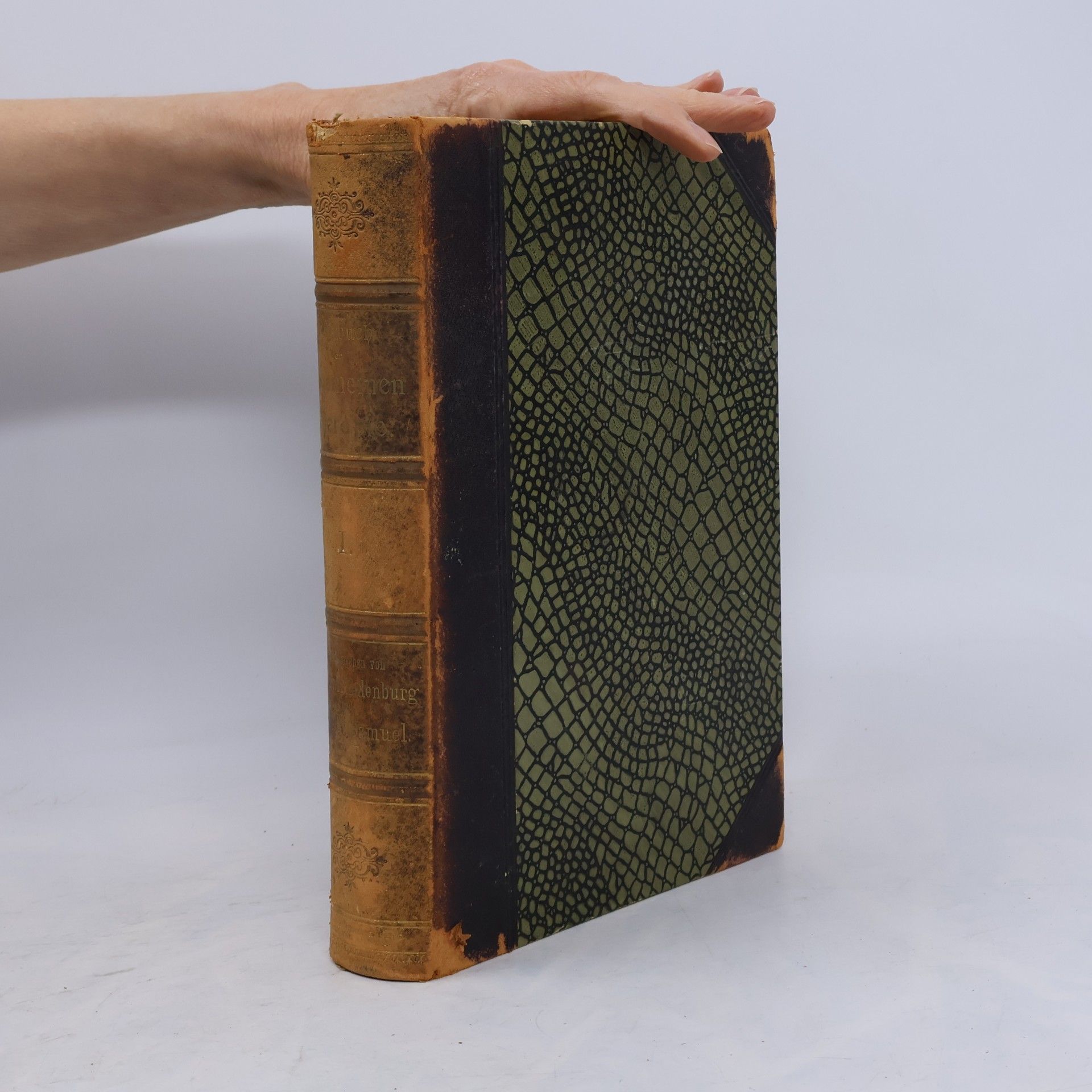 Autores varios Lehrbuch der allgemeinen Therapie und der therapeutischen Methodik I.