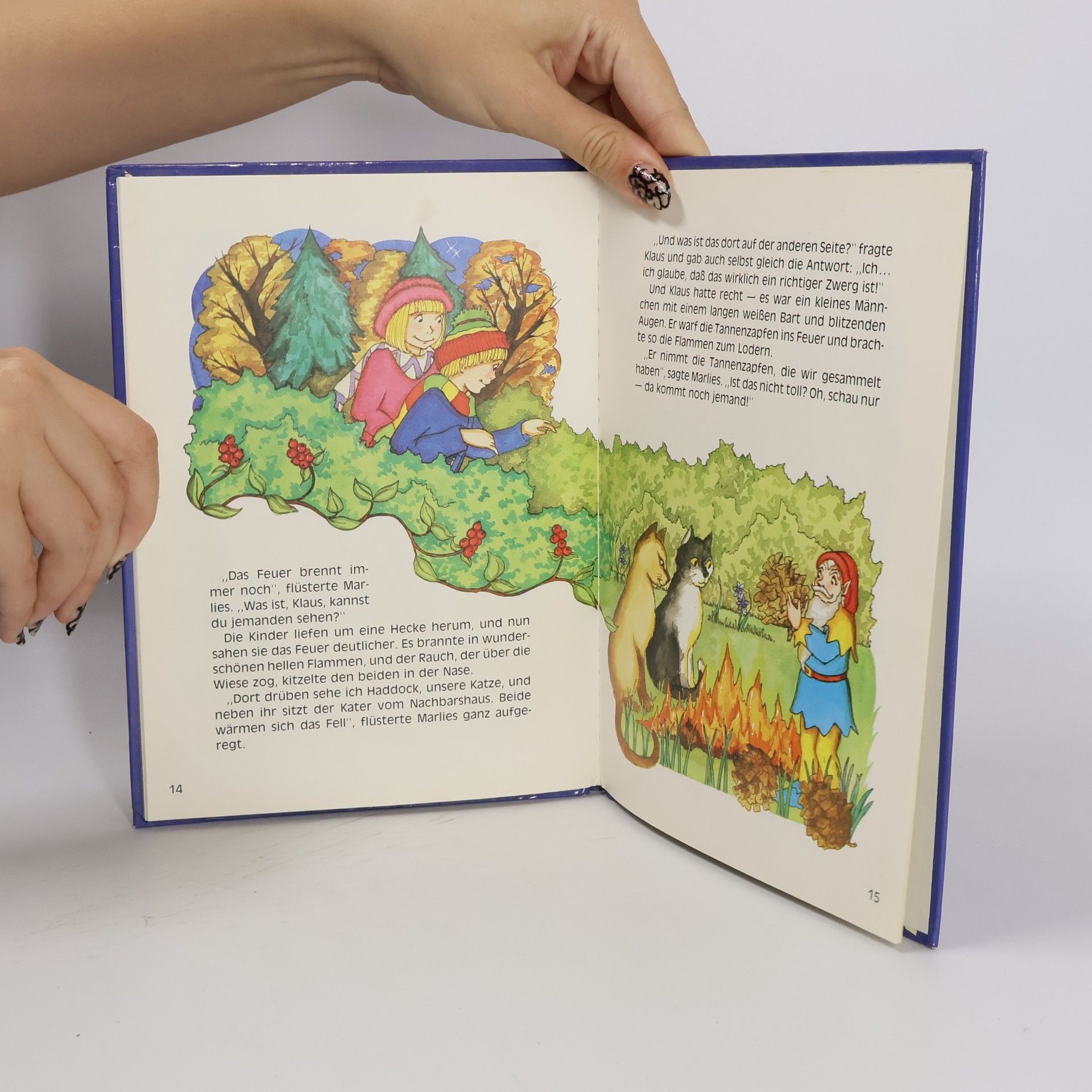 Enid Blyton Wollt ihr mal die Zwerge sehen?