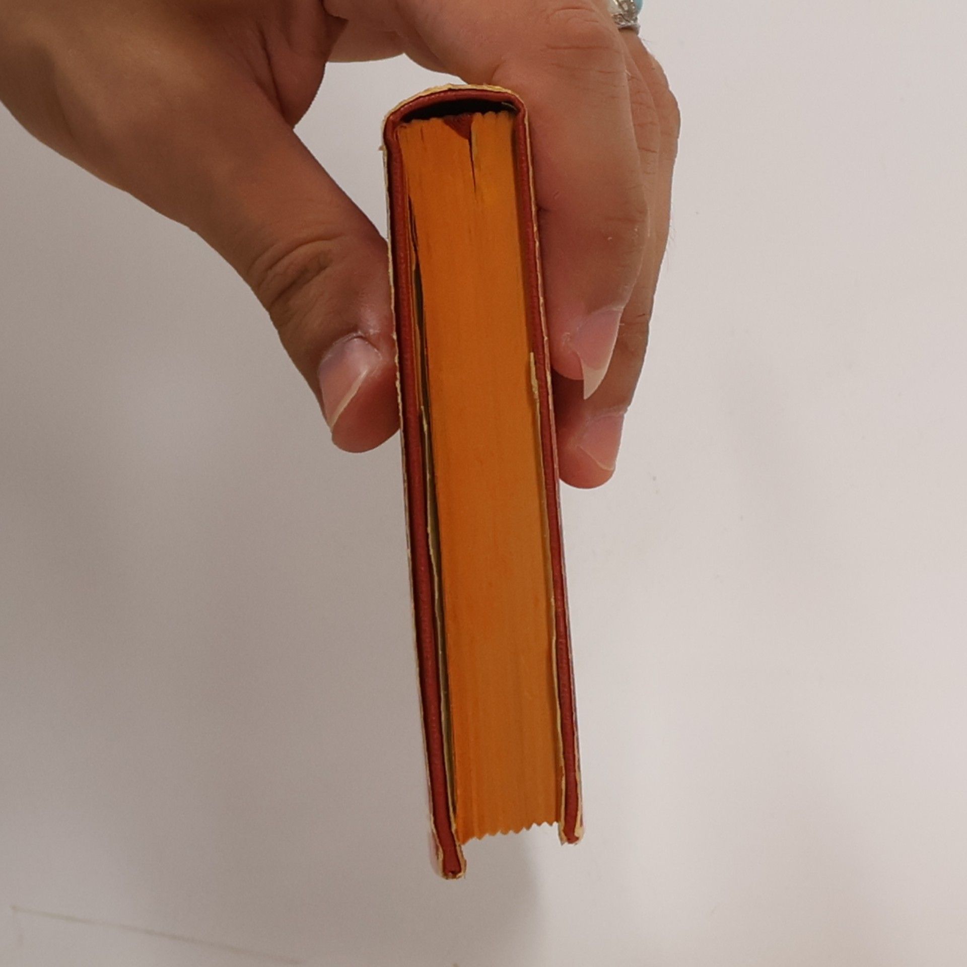 Autorenkollektiv Nagels Enzyklopädie Reiseführer. Brasilien