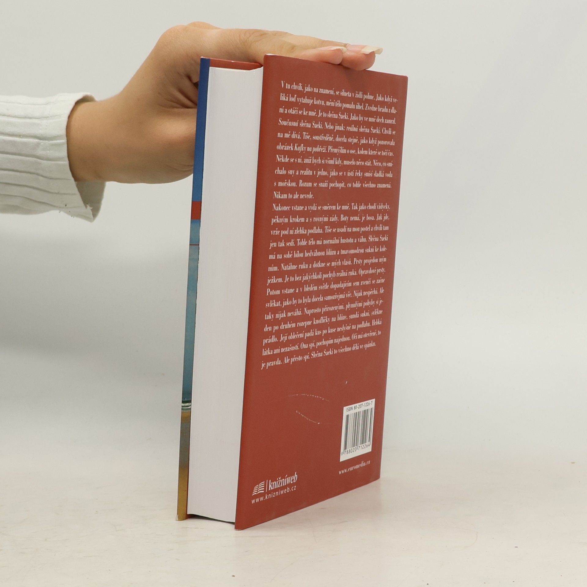 Haruki Murakami Kafka na pobřeží