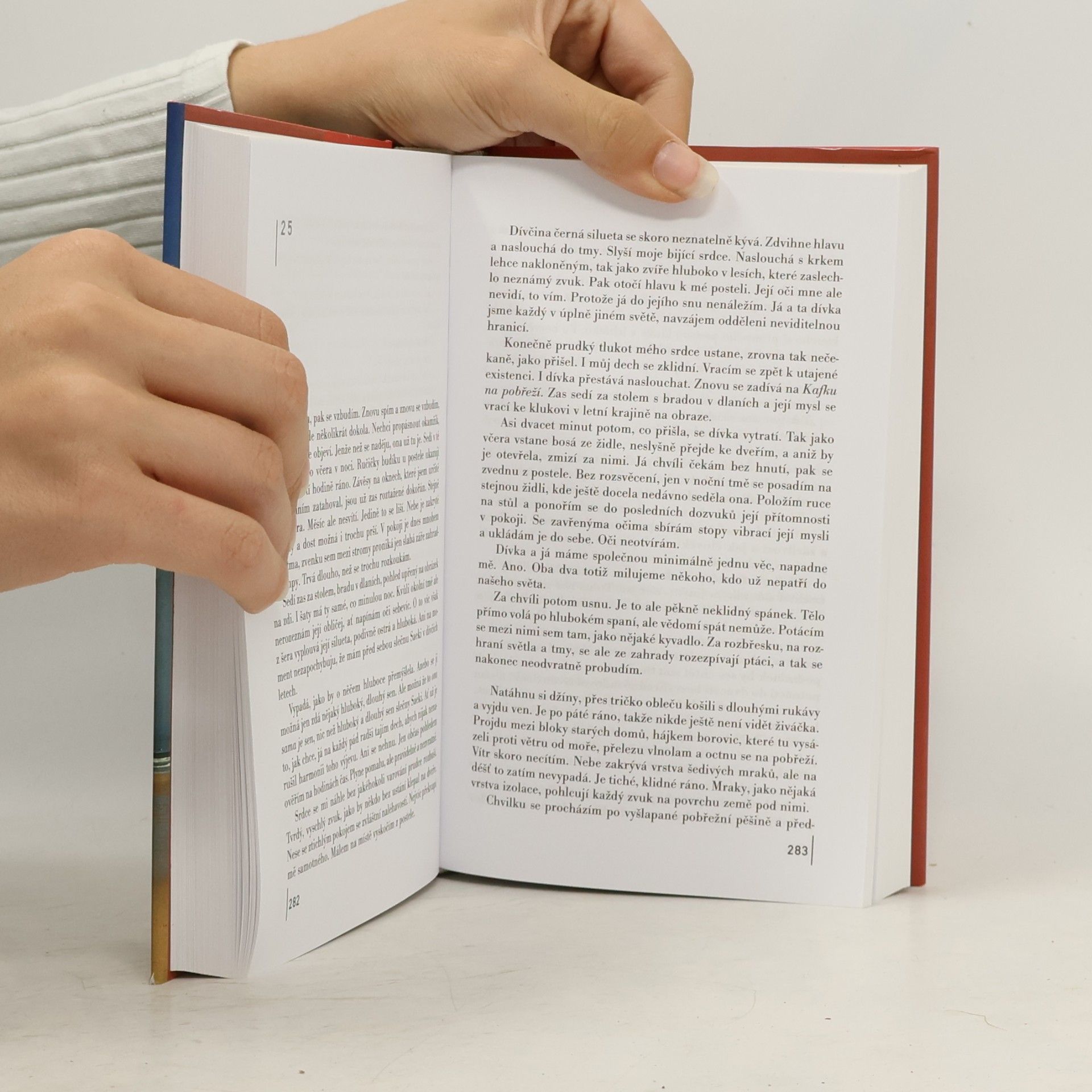 Haruki Murakami Kafka na pobřeží