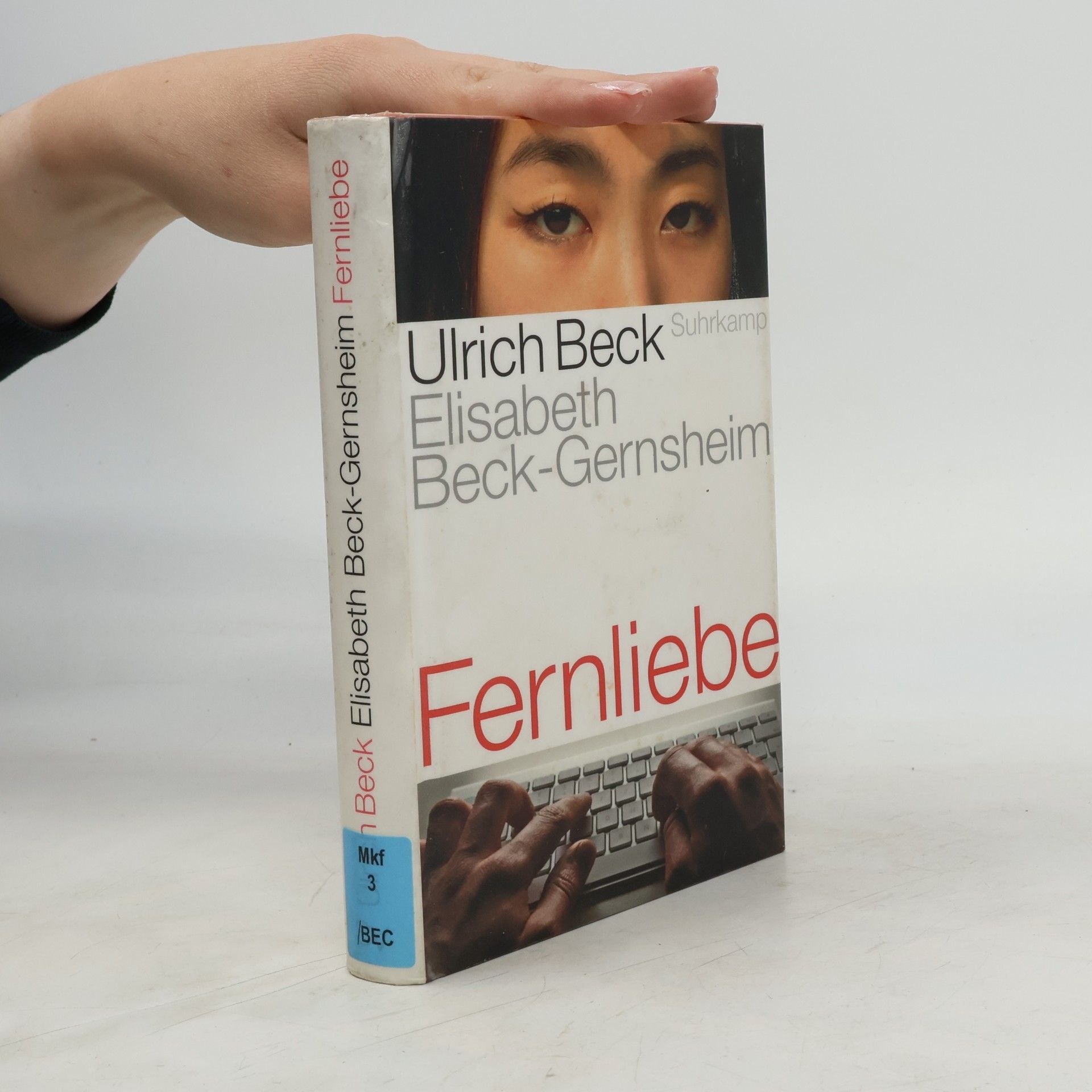 Ulrich Beck Fernliebe