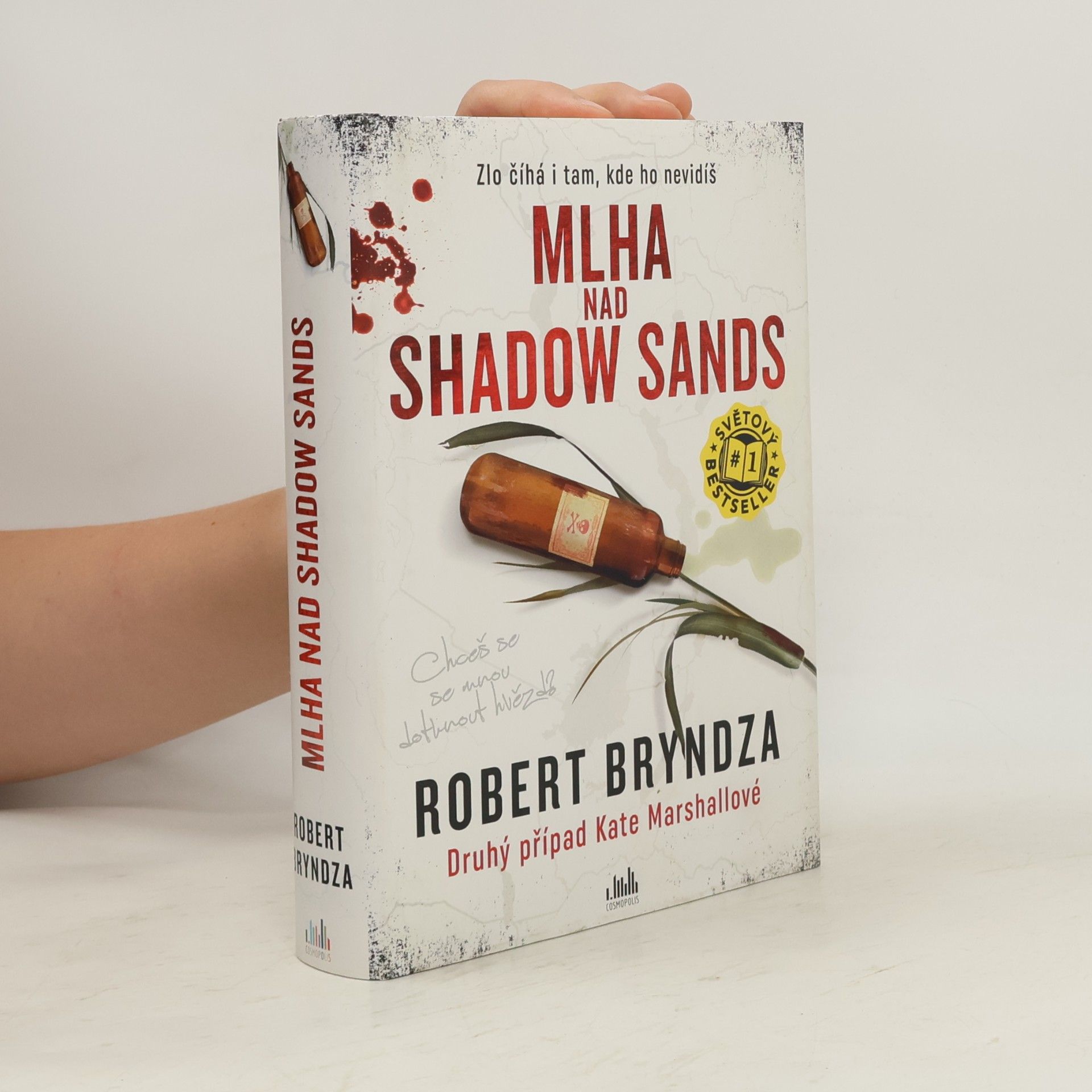 Robert Bryndza Mlha nad Shadow Sands