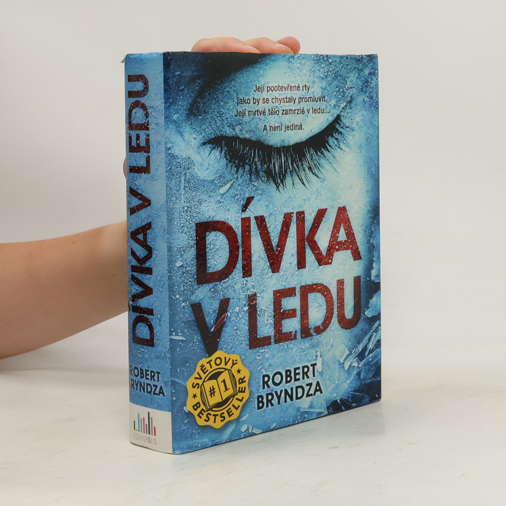 Robert Bryndza Dívka v ledu