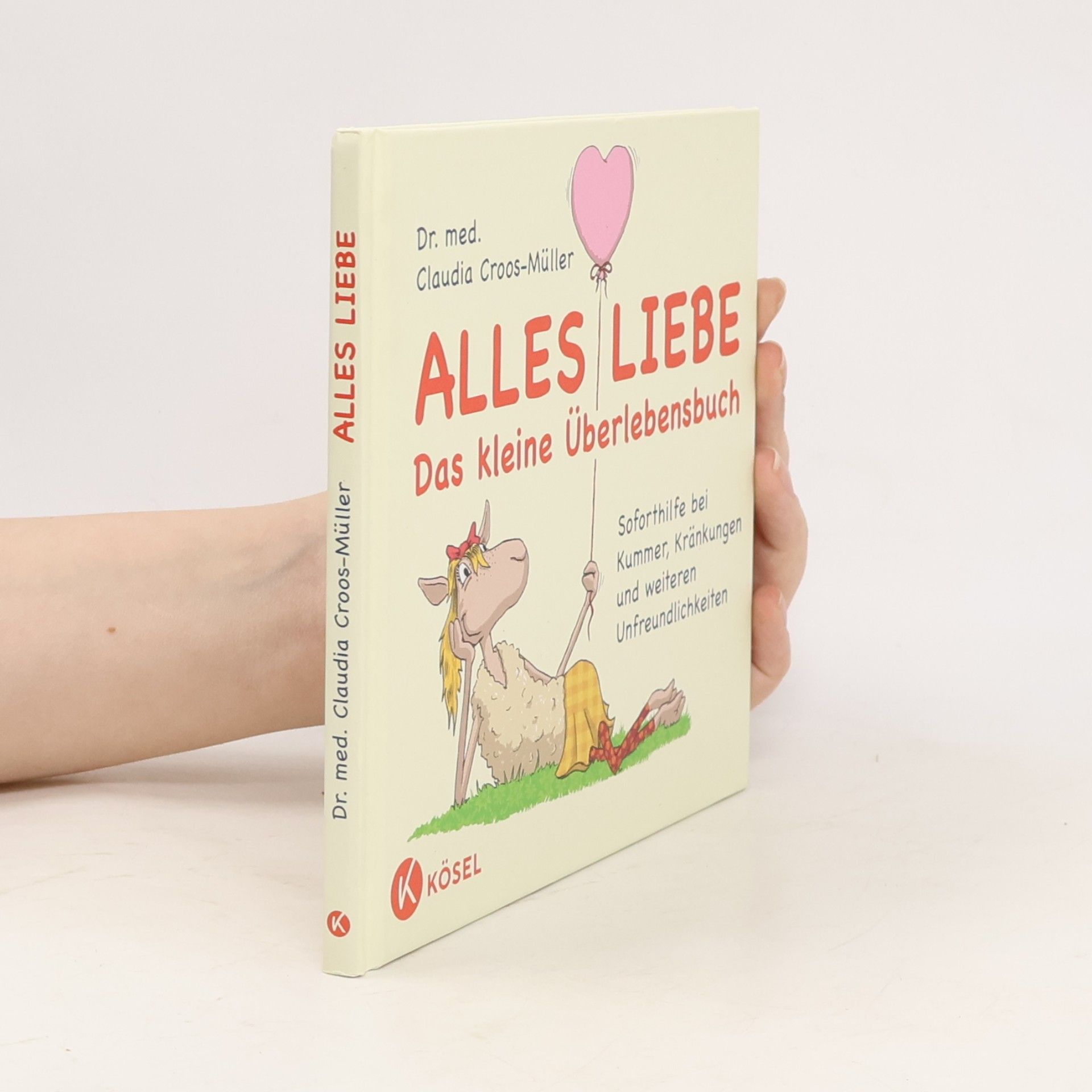 Alles Liebe - das kleine Überlebensbuch