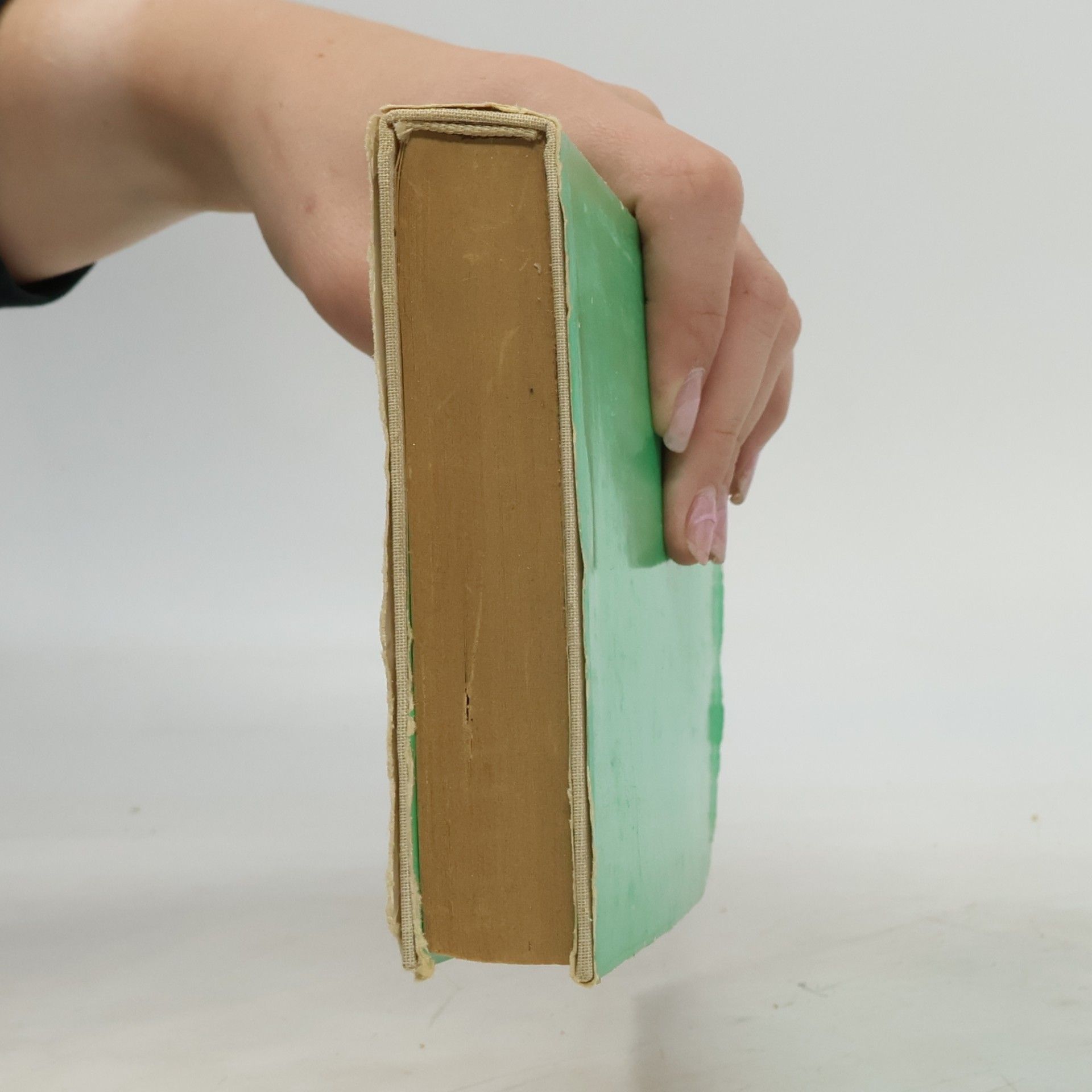 Jorge Amado Werkstatt der Wunder
