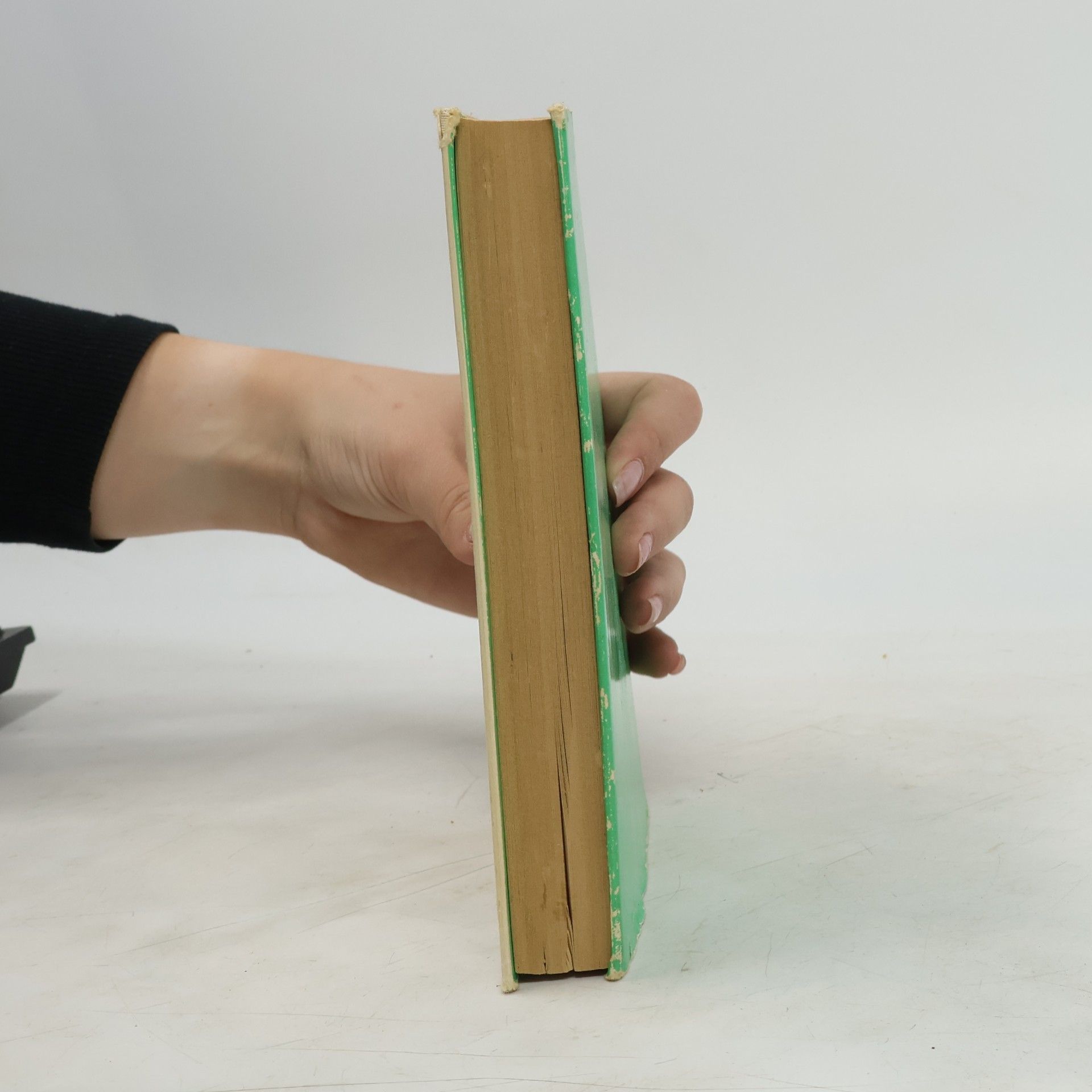 Jorge Amado Werkstatt der Wunder